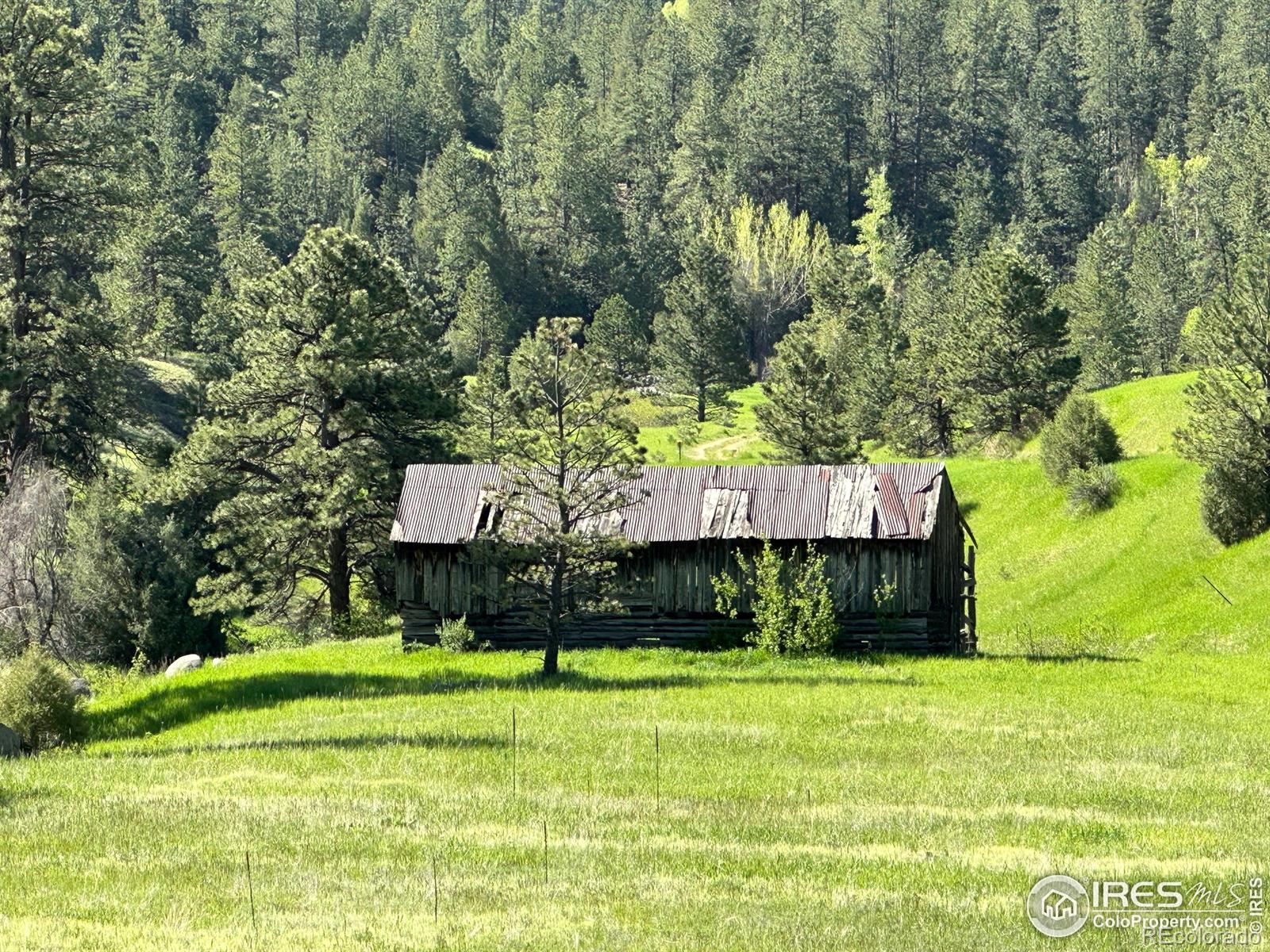 MLS Image #36 for 428  bison drive,boulder, Colorado