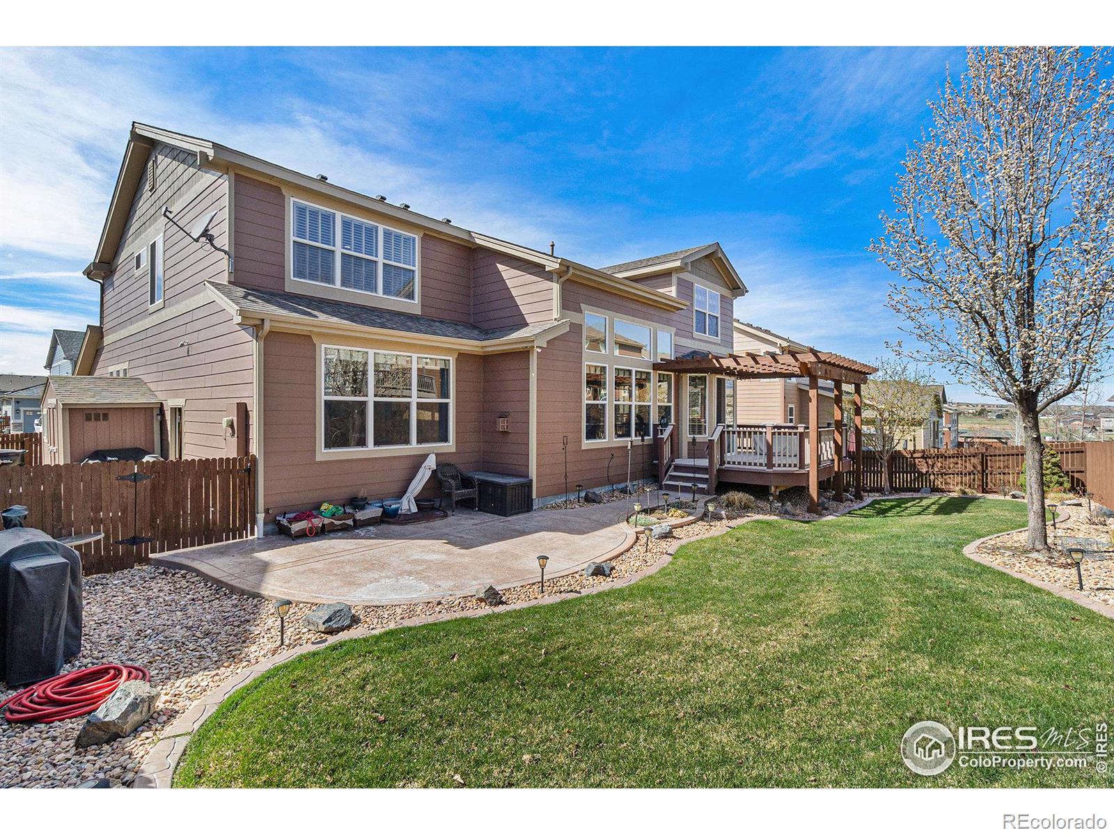 MLS Image #20 for 12348  rosemary street,thornton, Colorado