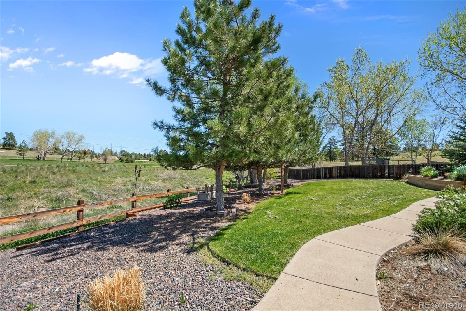 MLS Image #14 for 23161  blackwolf way,parker, Colorado