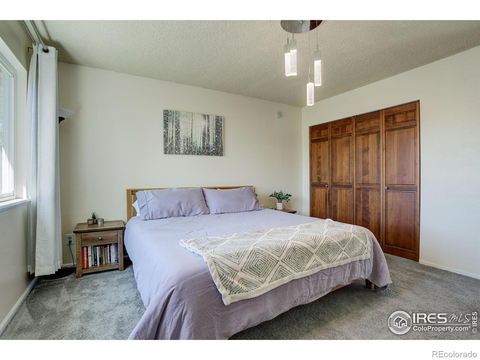 MLS Image #14 for 2937  rams lane,fort collins, Colorado