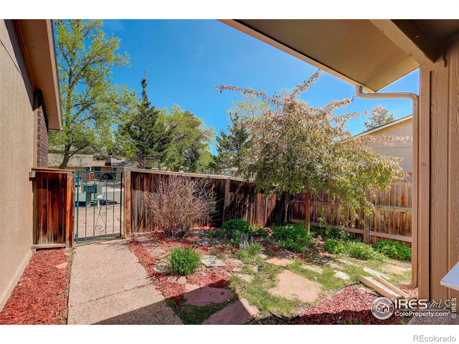 MLS Image #22 for 2937  rams lane,fort collins, Colorado