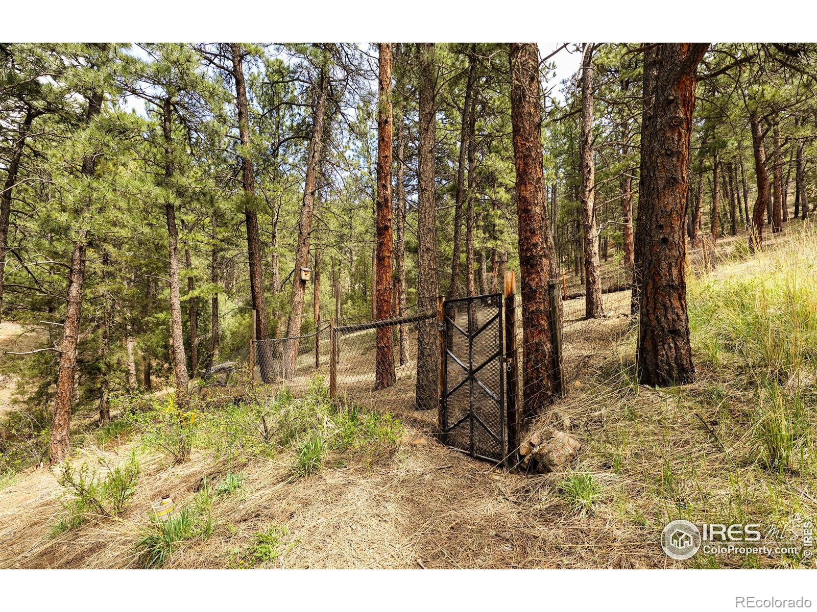 MLS Image #27 for 93  spruce drive,lyons, Colorado