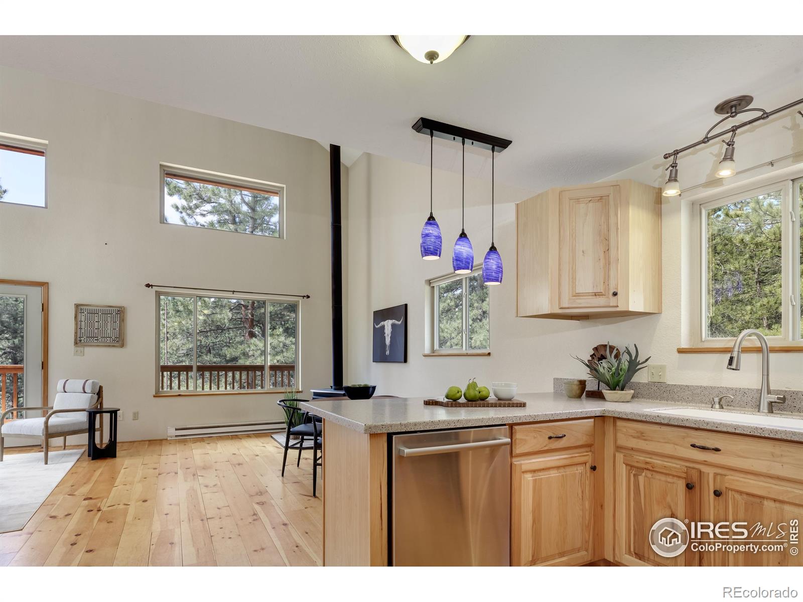 MLS Image #9 for 93  spruce drive,lyons, Colorado