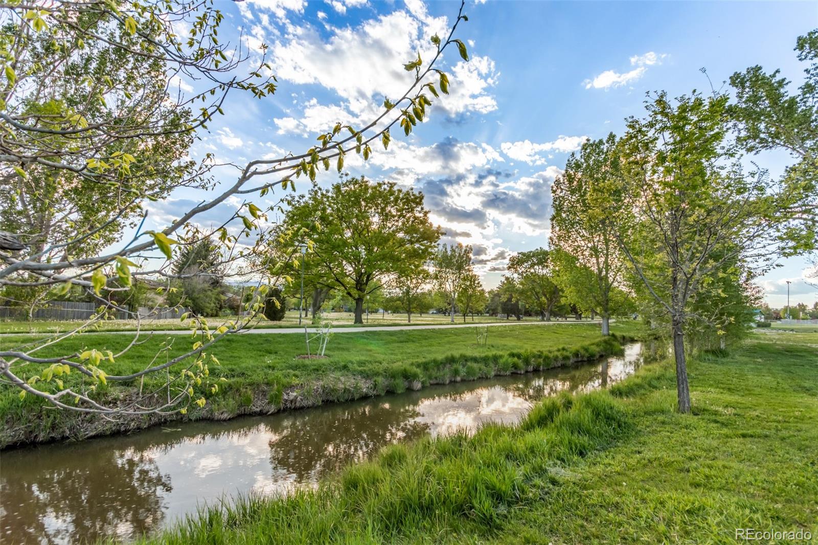 MLS Image #37 for 943  yew court,longmont, Colorado