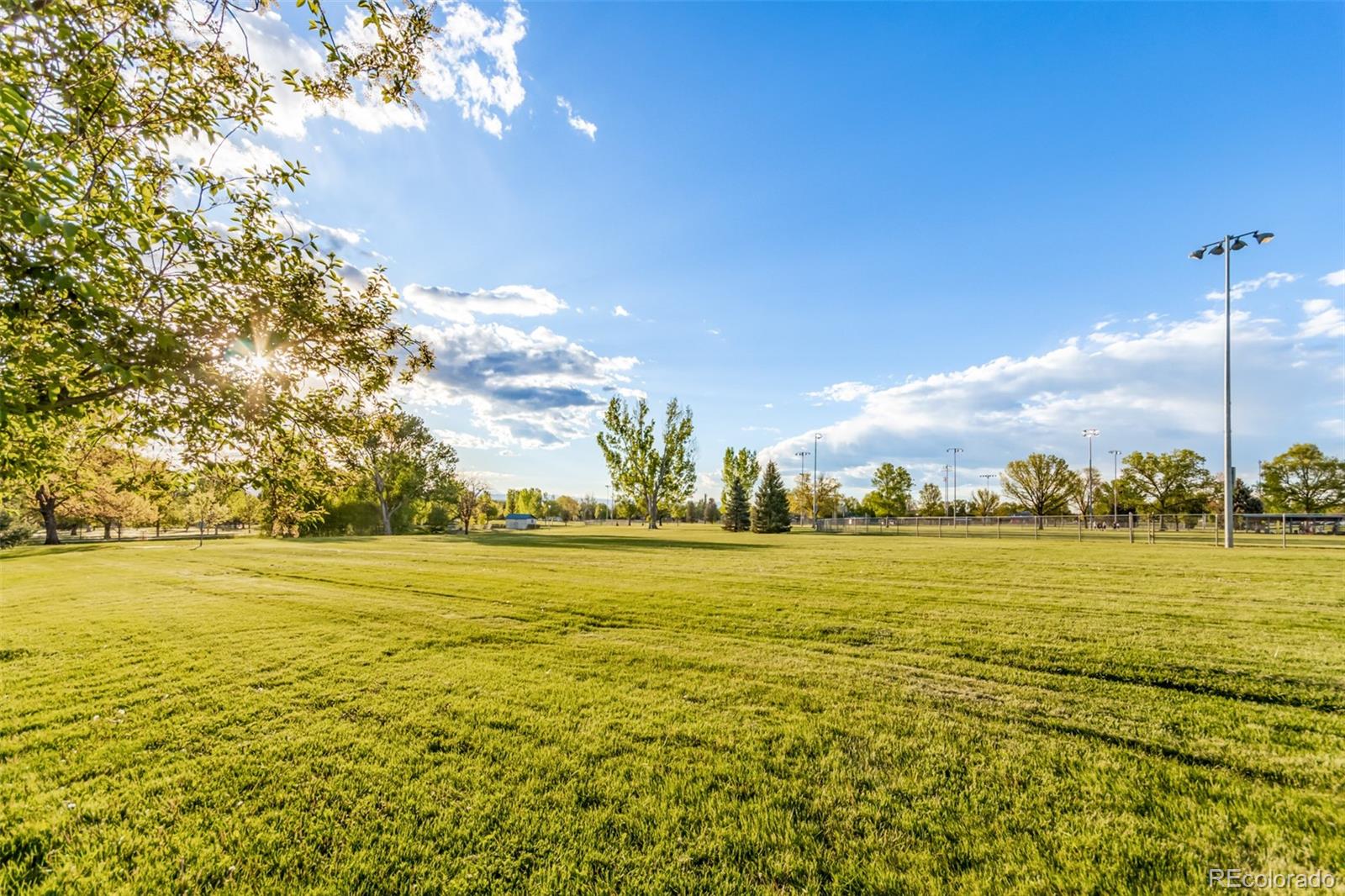 MLS Image #38 for 943  yew court,longmont, Colorado