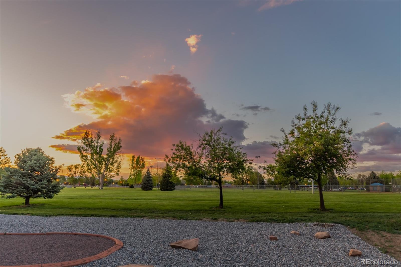 MLS Image #39 for 943  yew court,longmont, Colorado