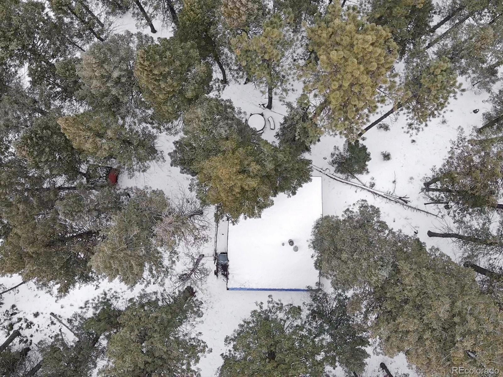 MLS Image #10 for 5525 s twin spruce drive,evergreen, Colorado