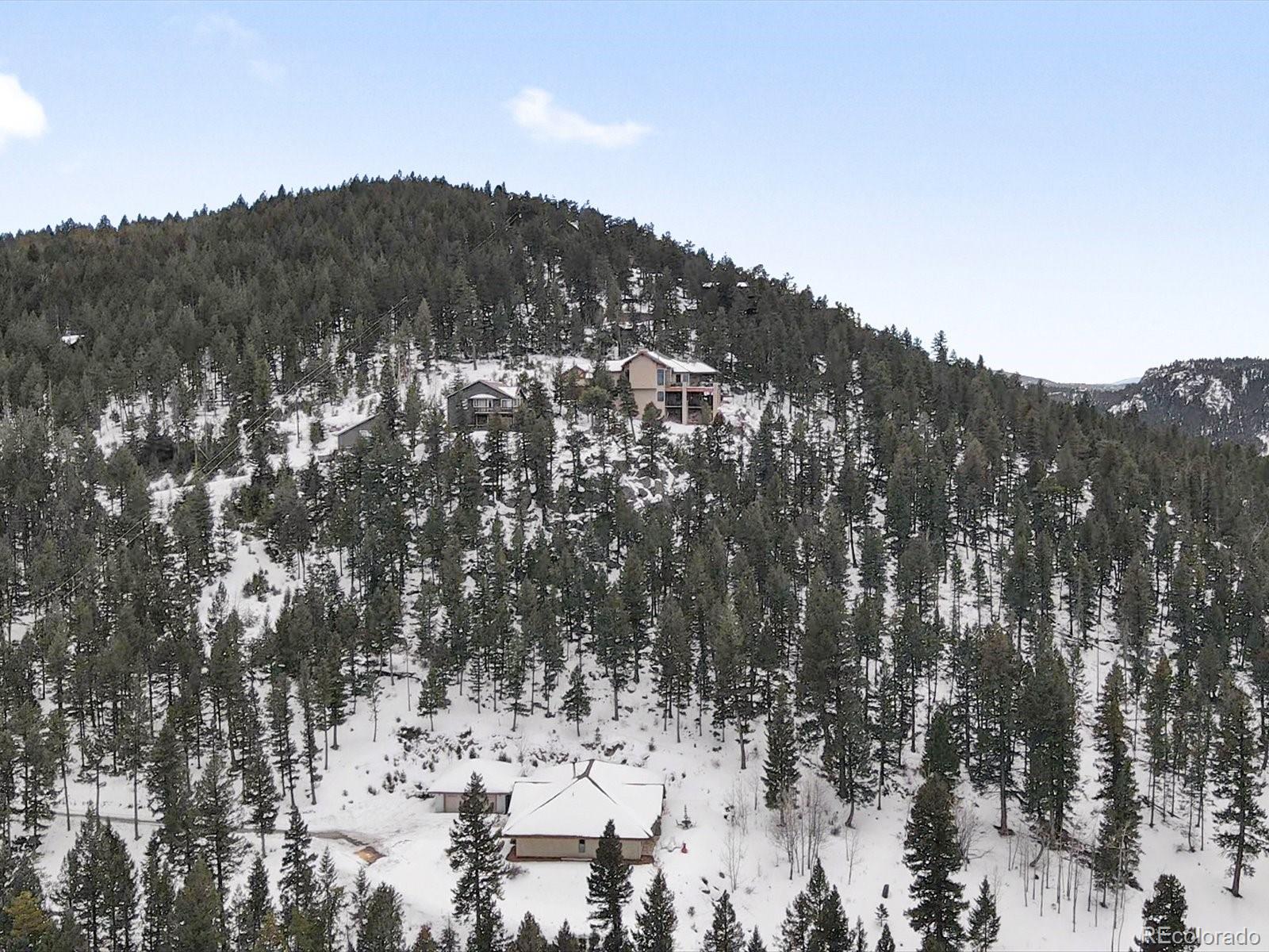 MLS Image #14 for 5525 s twin spruce drive,evergreen, Colorado