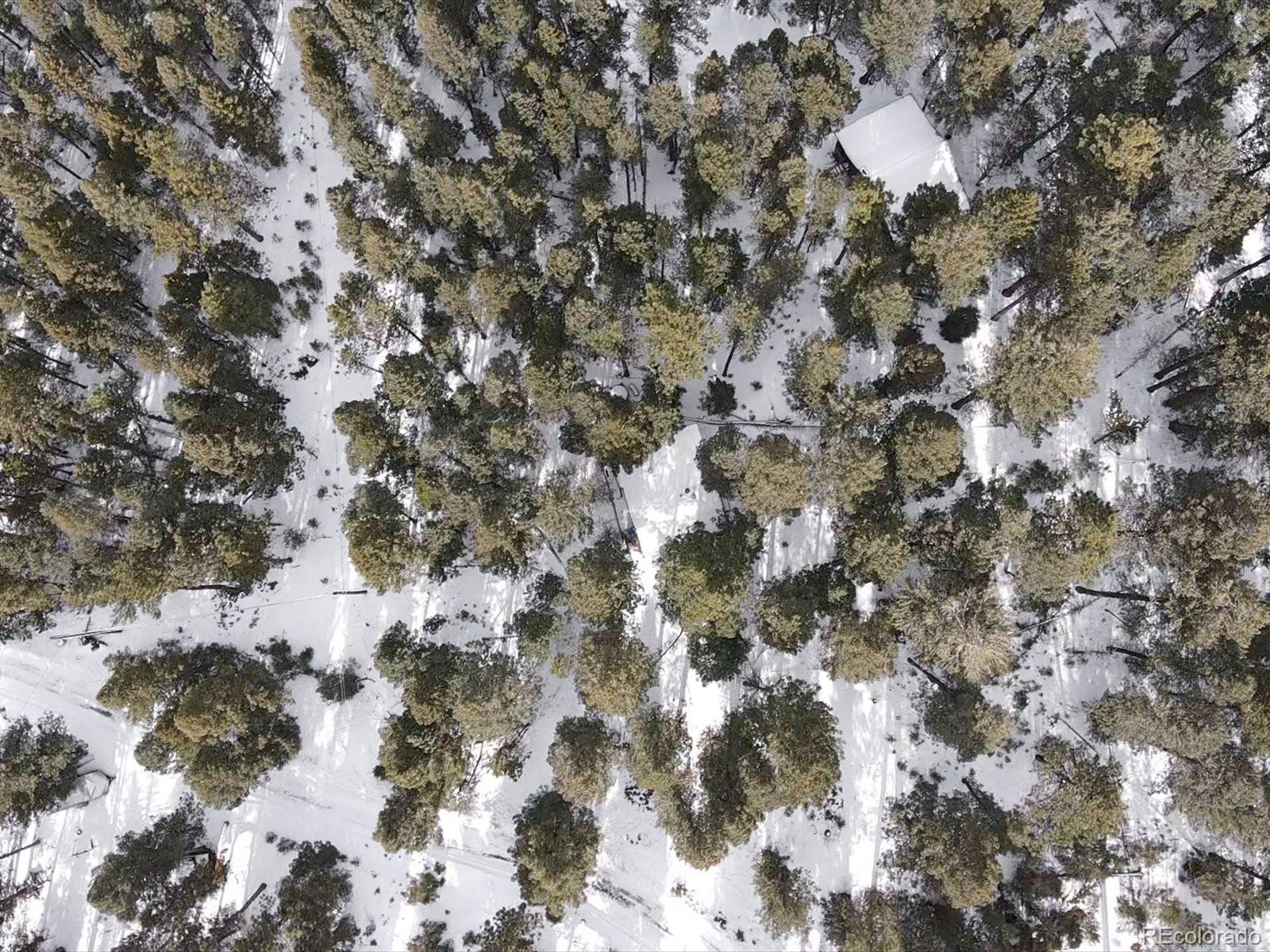 MLS Image #20 for 5525 s twin spruce drive,evergreen, Colorado