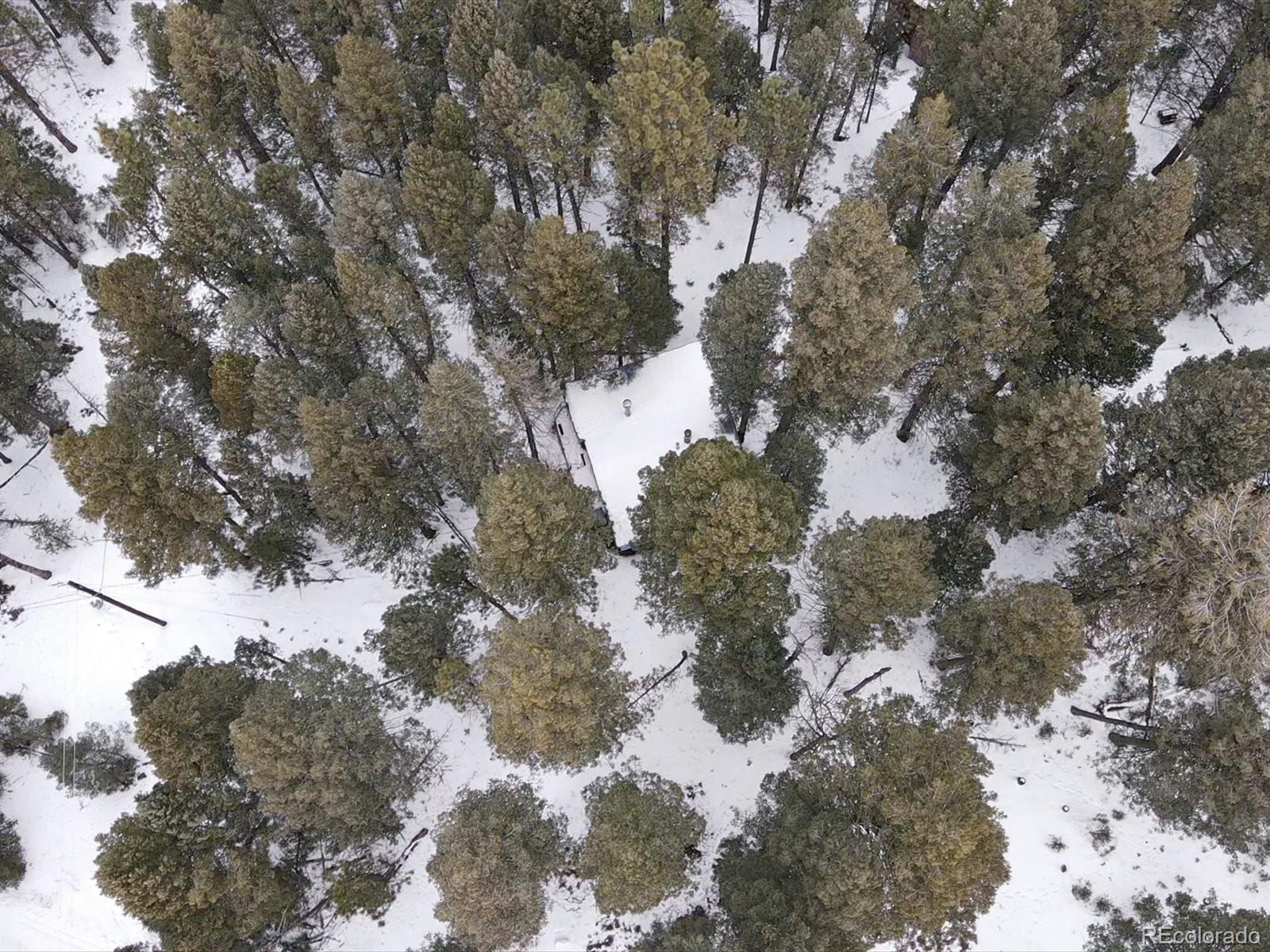 MLS Image #21 for 5525 s twin spruce drive,evergreen, Colorado