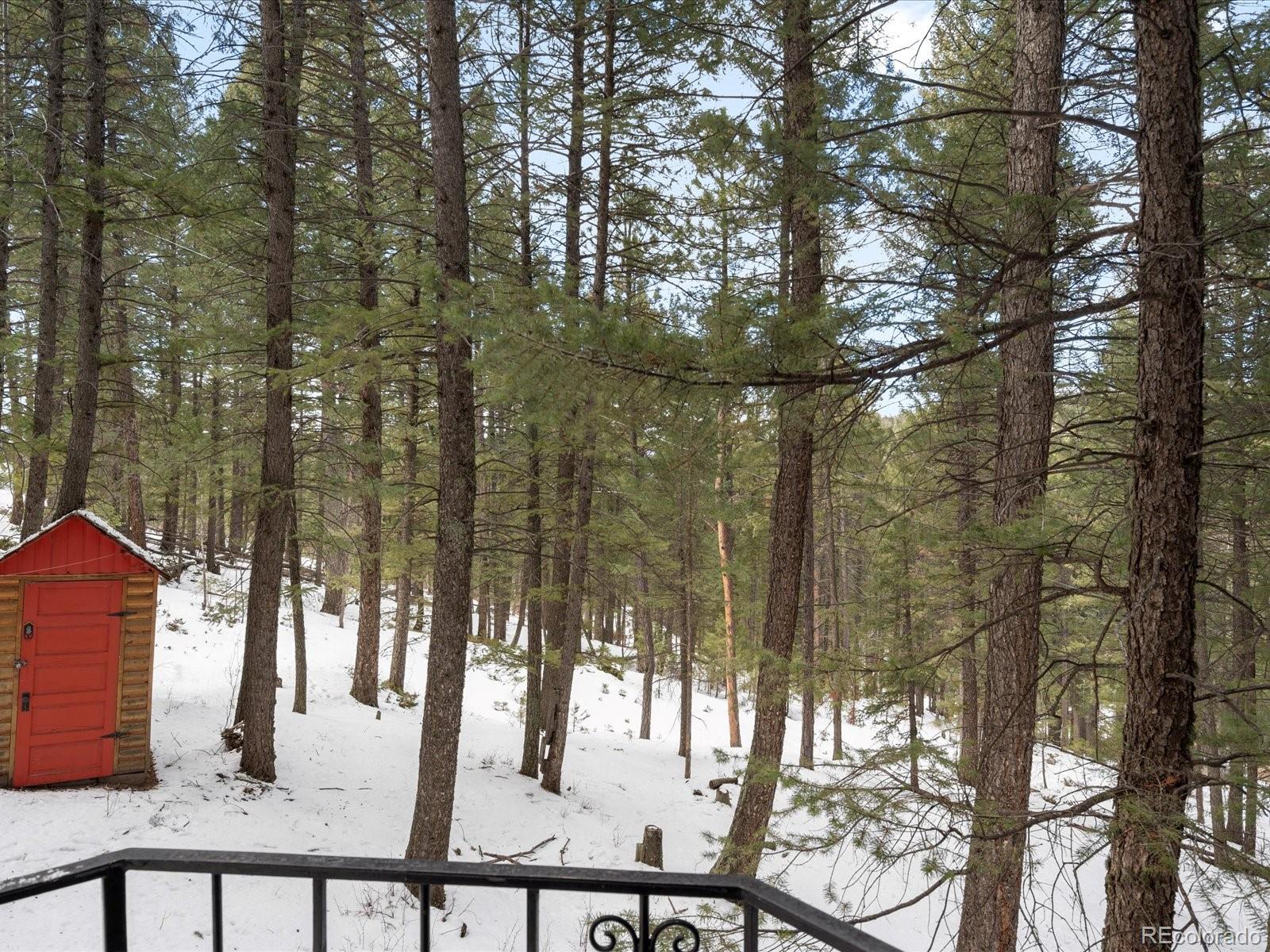 MLS Image #27 for 5525 s twin spruce drive,evergreen, Colorado