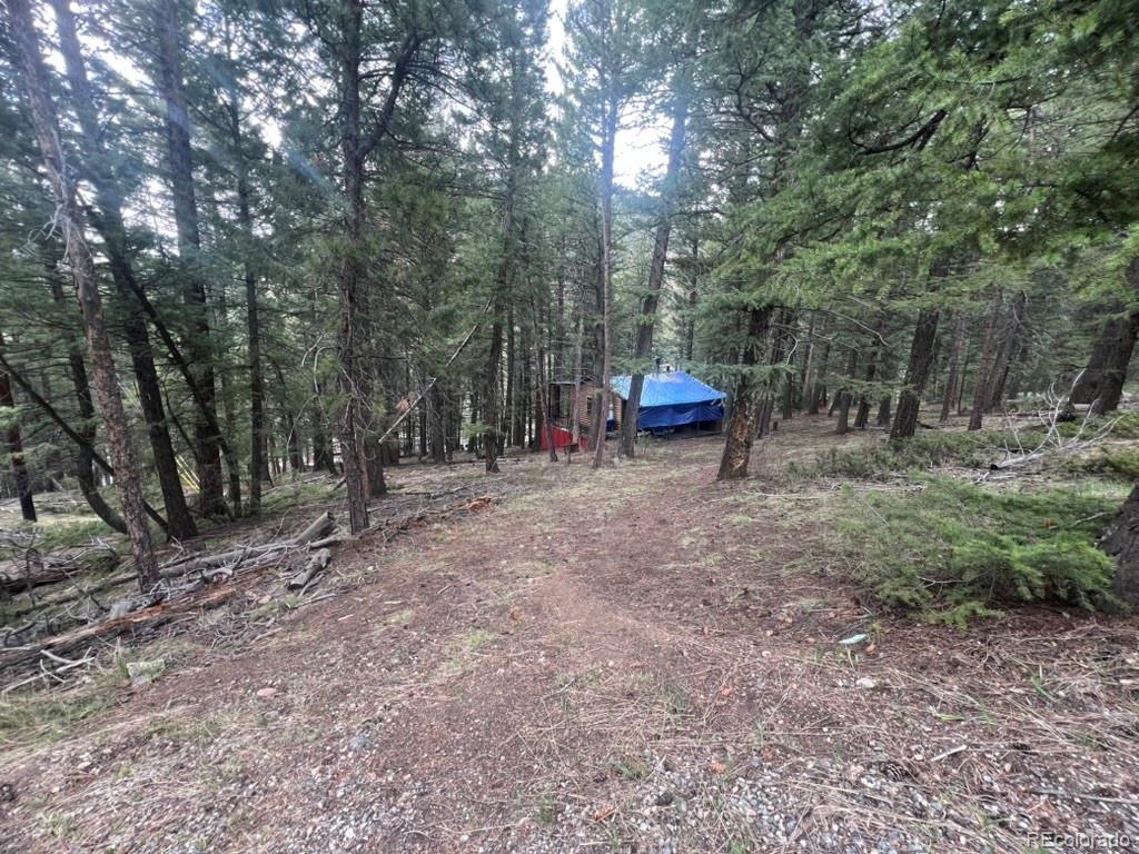 MLS Image #7 for 5525 s twin spruce drive,evergreen, Colorado