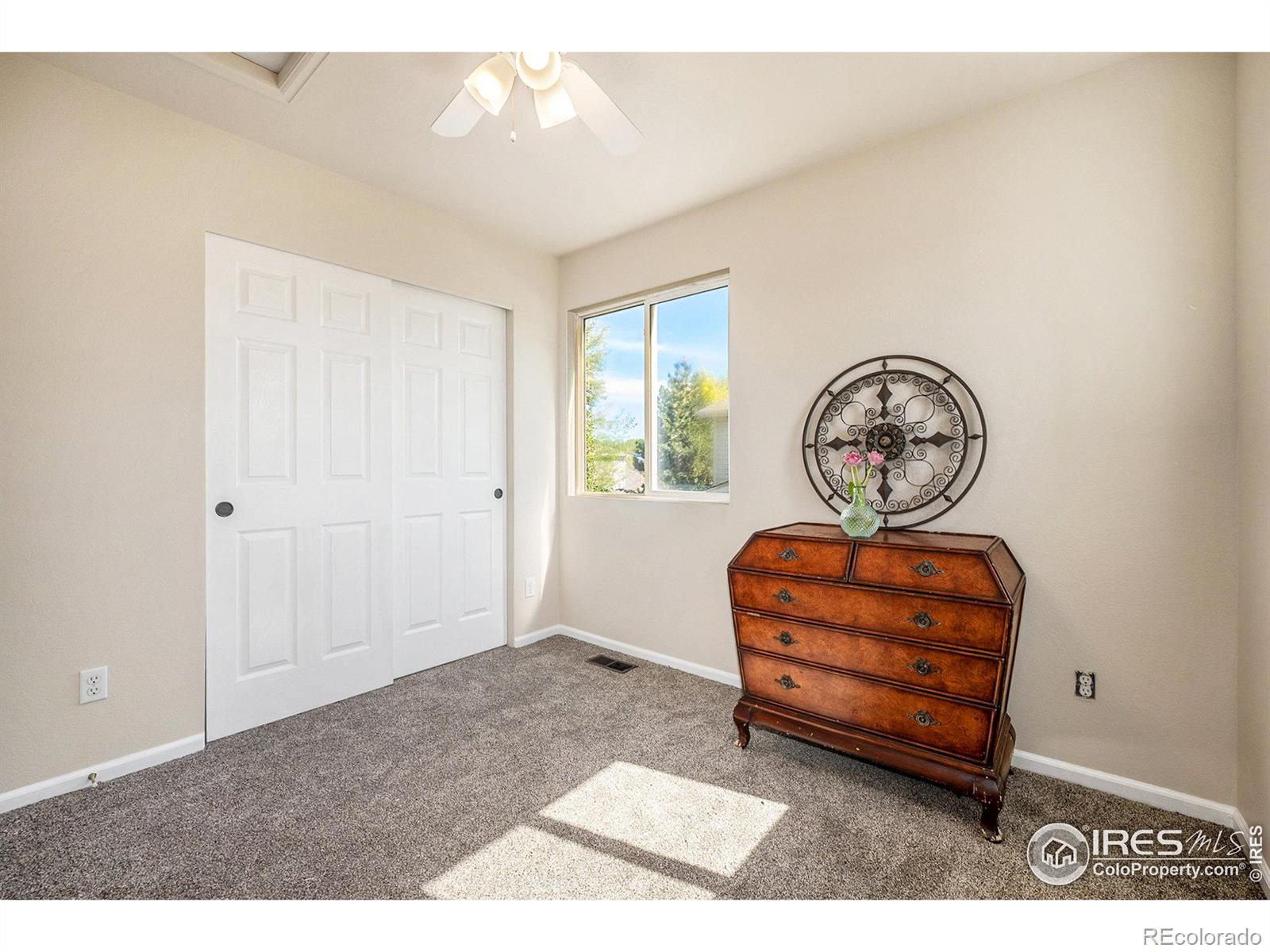 MLS Image #15 for 1254  fremont court,longmont, Colorado