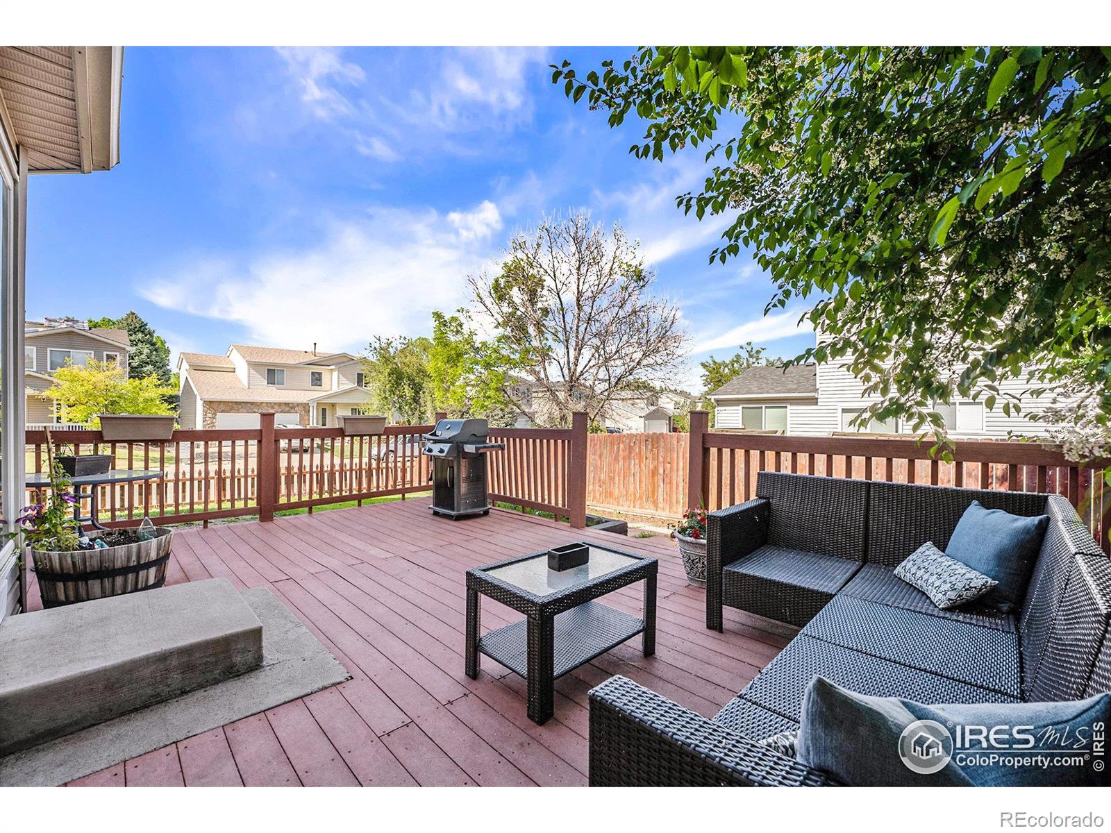 MLS Image #18 for 1254  fremont court,longmont, Colorado