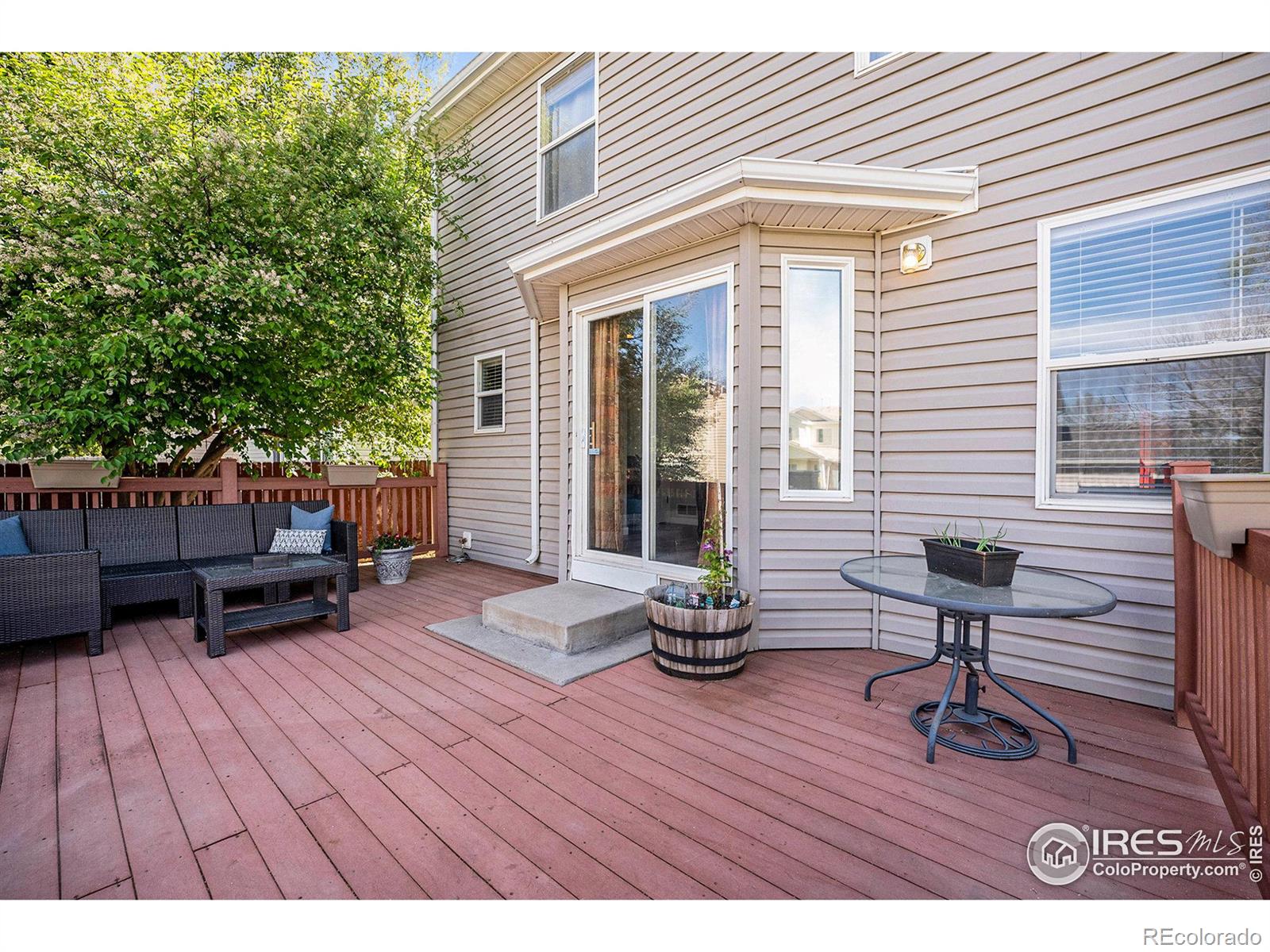 MLS Image #20 for 1254  fremont court,longmont, Colorado