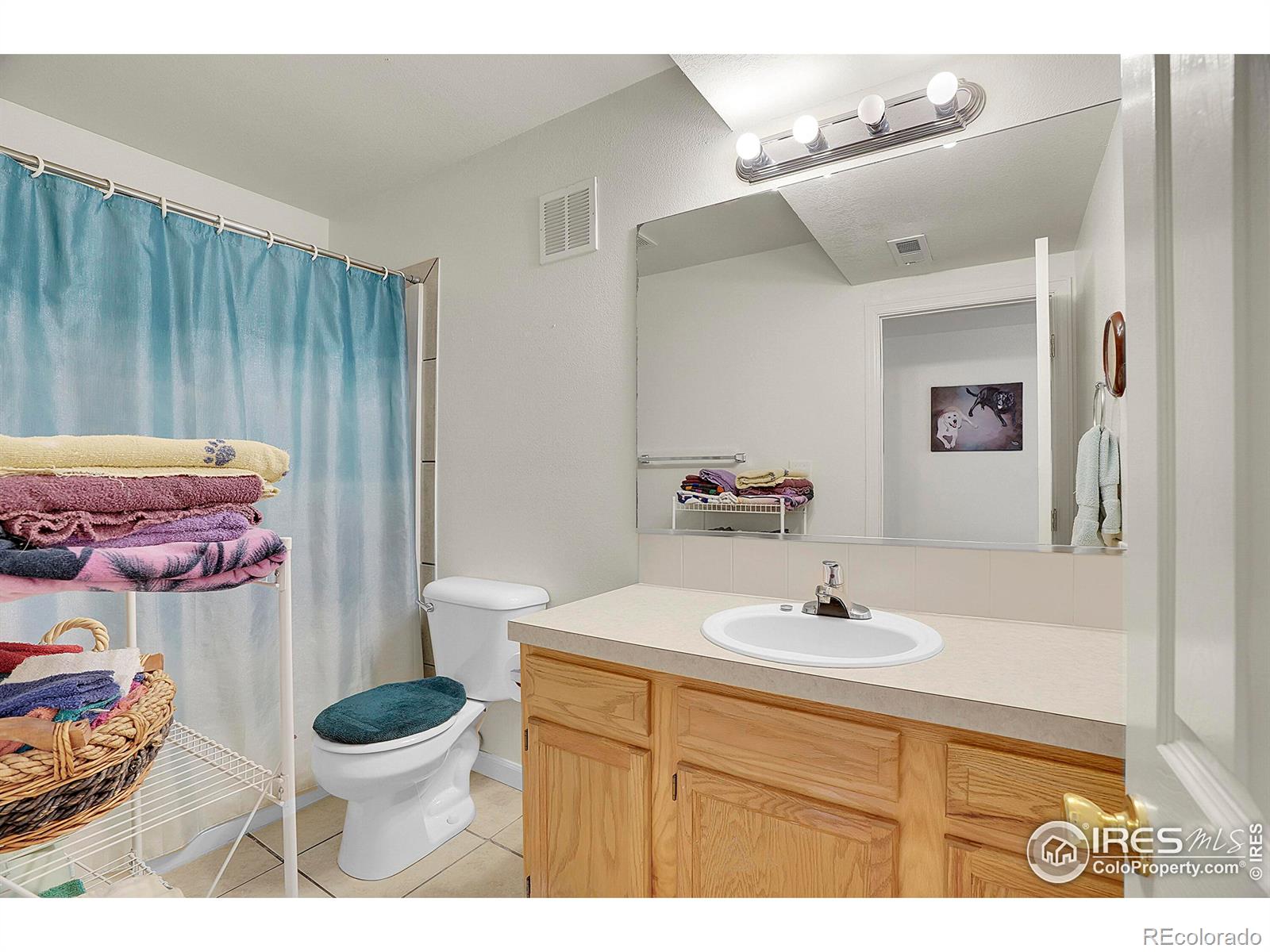 MLS Image #18 for 403  monico gardens drive,evans, Colorado