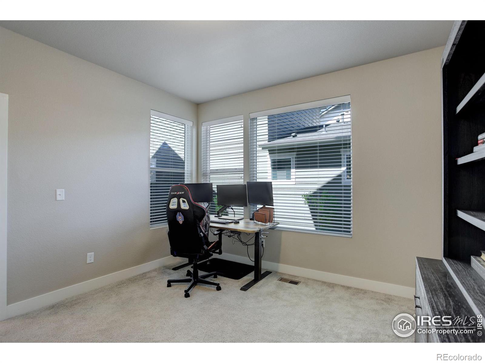 MLS Image #15 for 2950  comet street,fort collins, Colorado