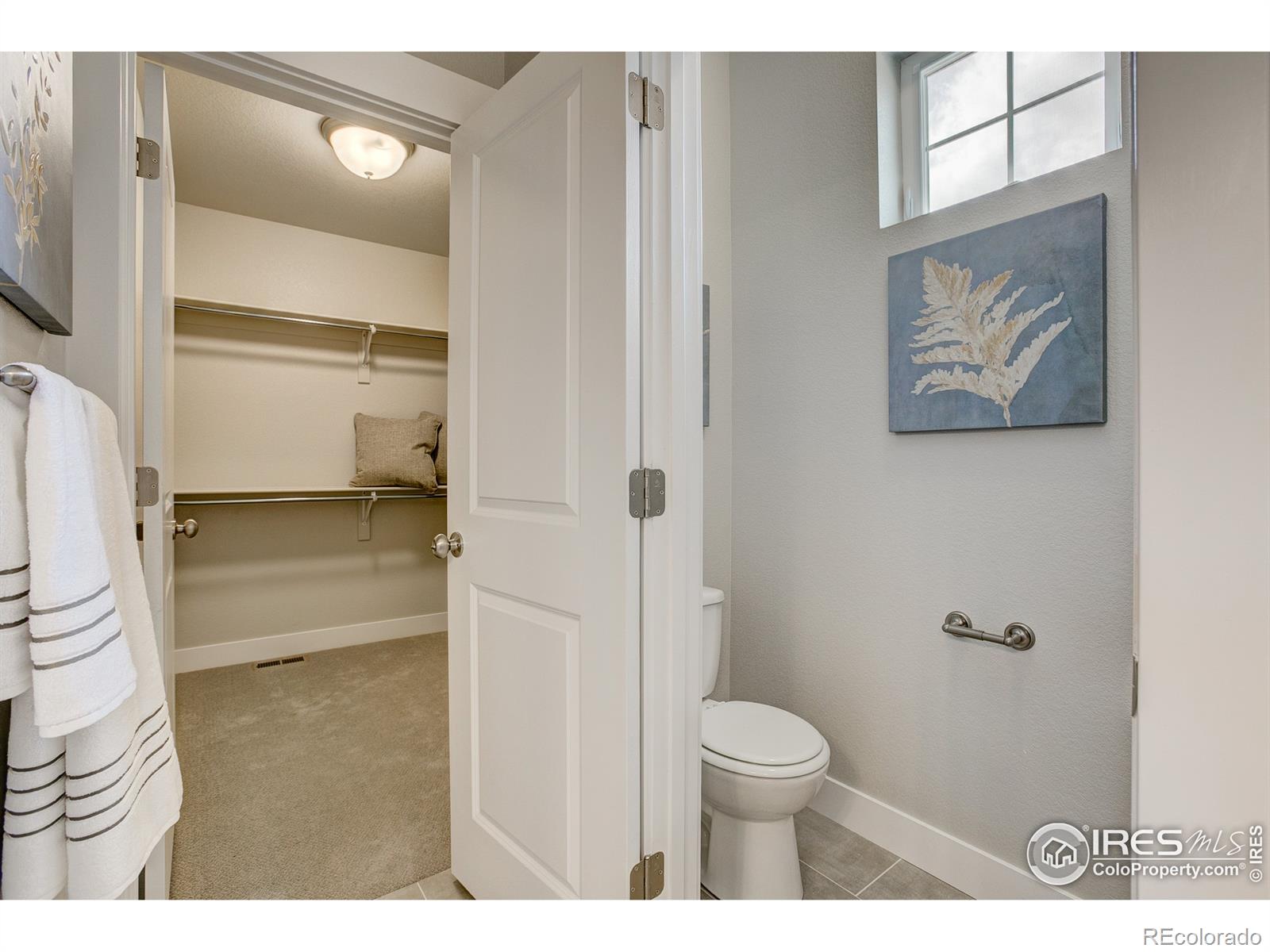 MLS Image #14 for 4193  trapper lake drive,loveland, Colorado