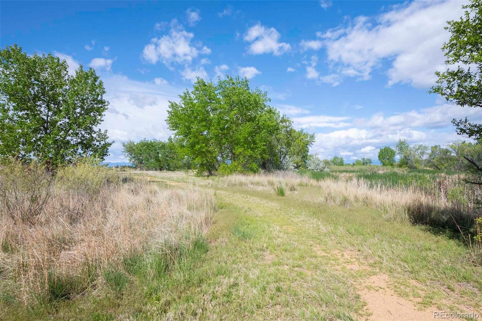 MLS Image #22 for 10657  forester place,longmont, Colorado