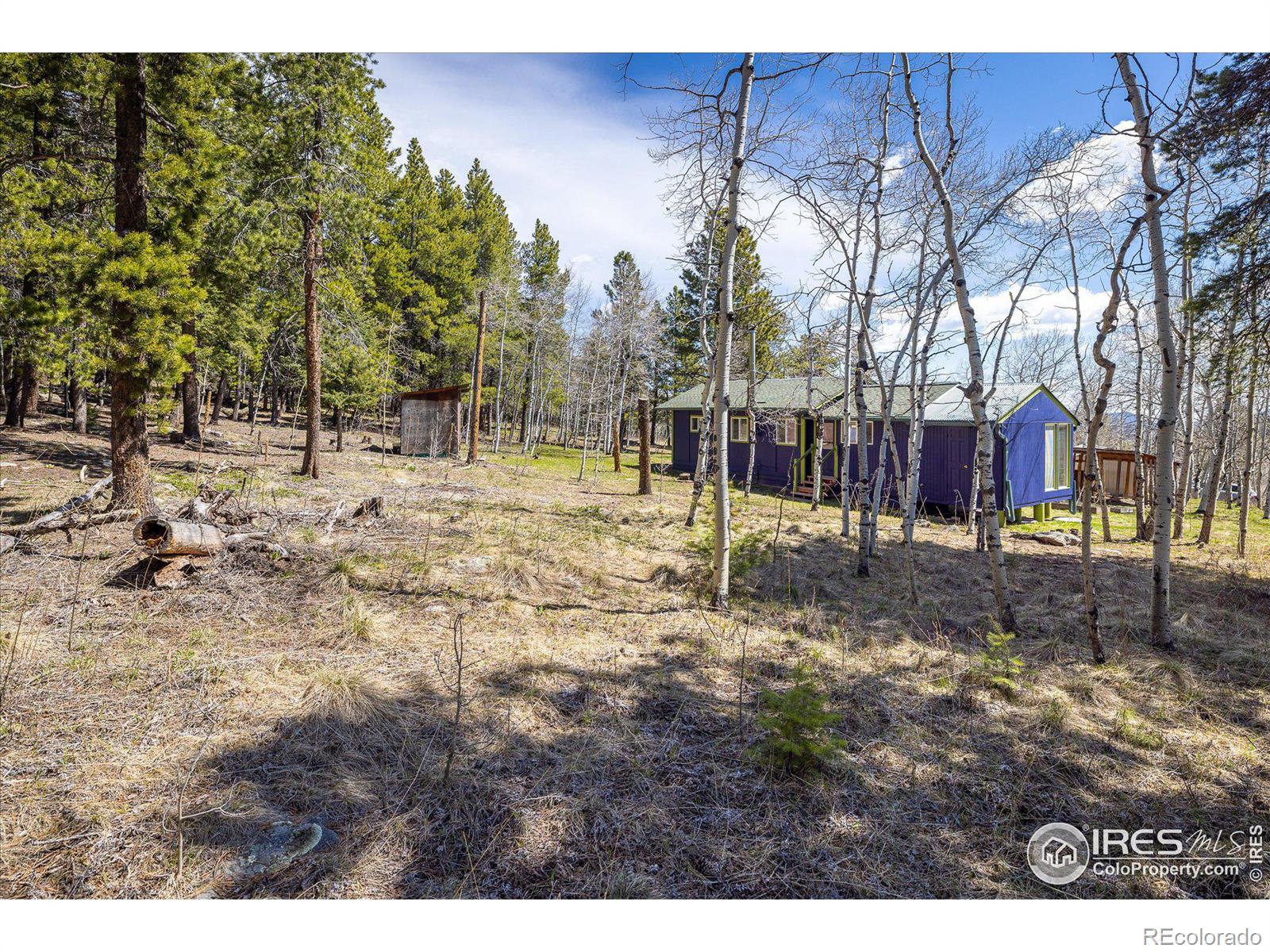 MLS Image #19 for 158  pinon way,nederland, Colorado