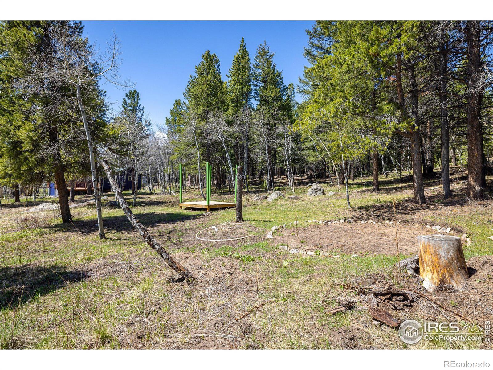 MLS Image #21 for 158  pinon way,nederland, Colorado