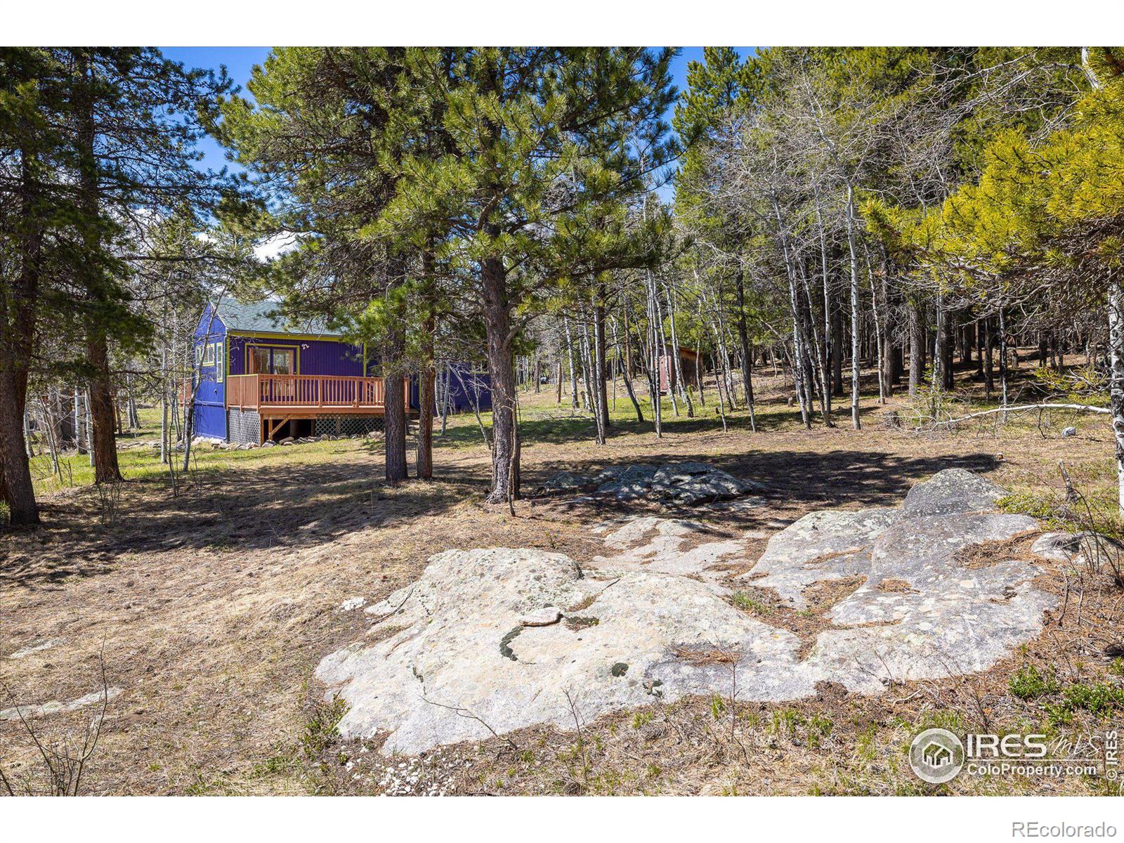 MLS Image #22 for 158  pinon way,nederland, Colorado