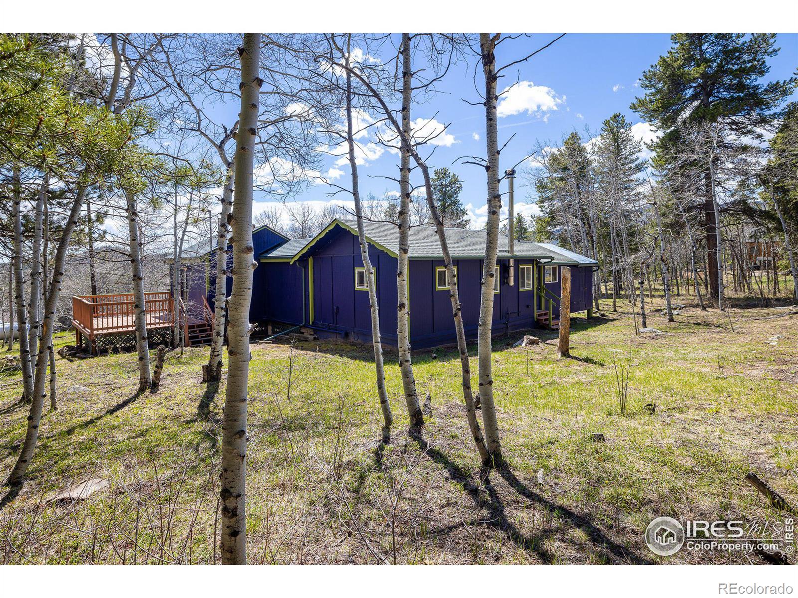 MLS Image #24 for 158  pinon way,nederland, Colorado