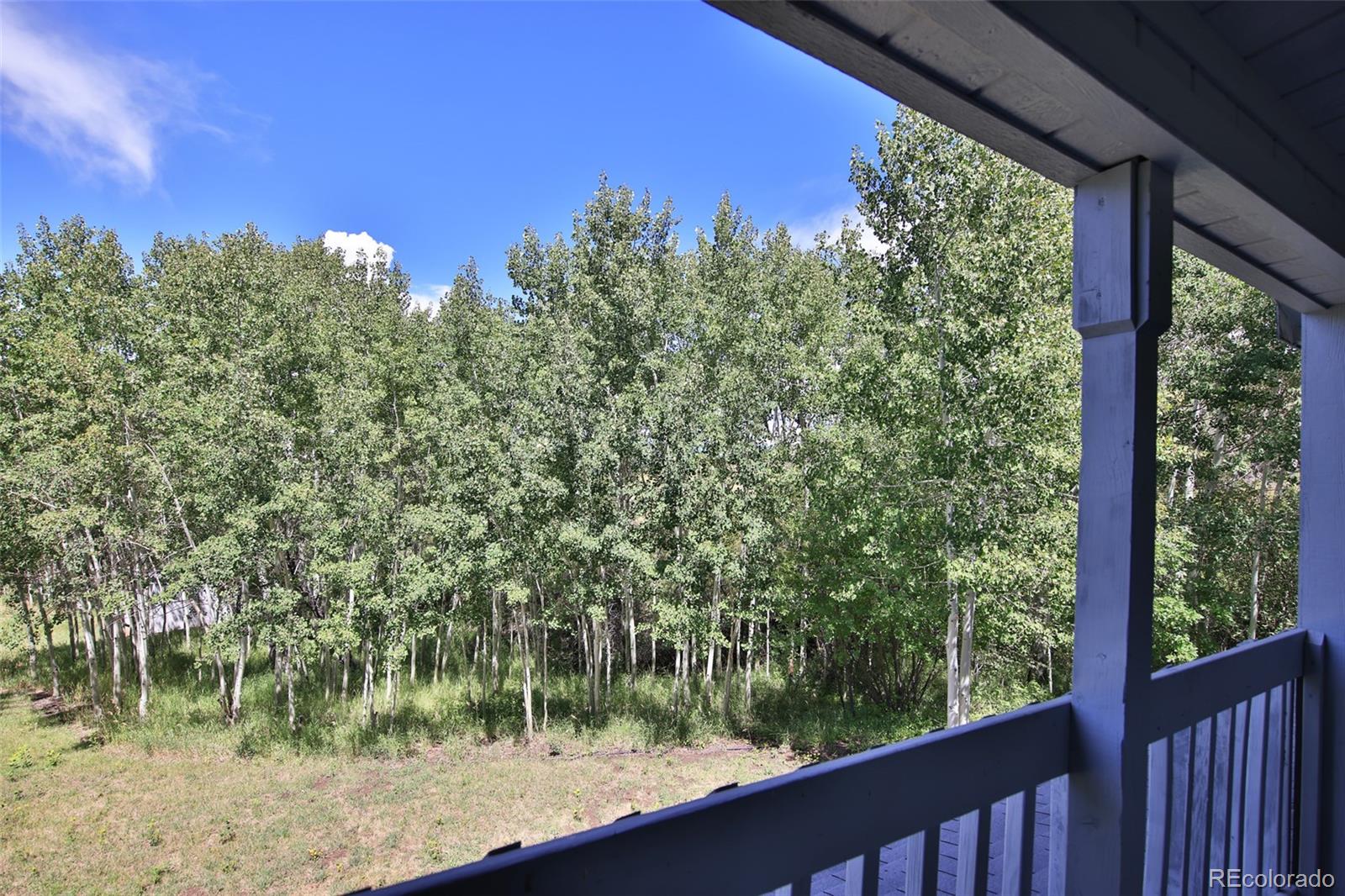 MLS Image #19 for 10396  60 3/4 road,collbran, Colorado