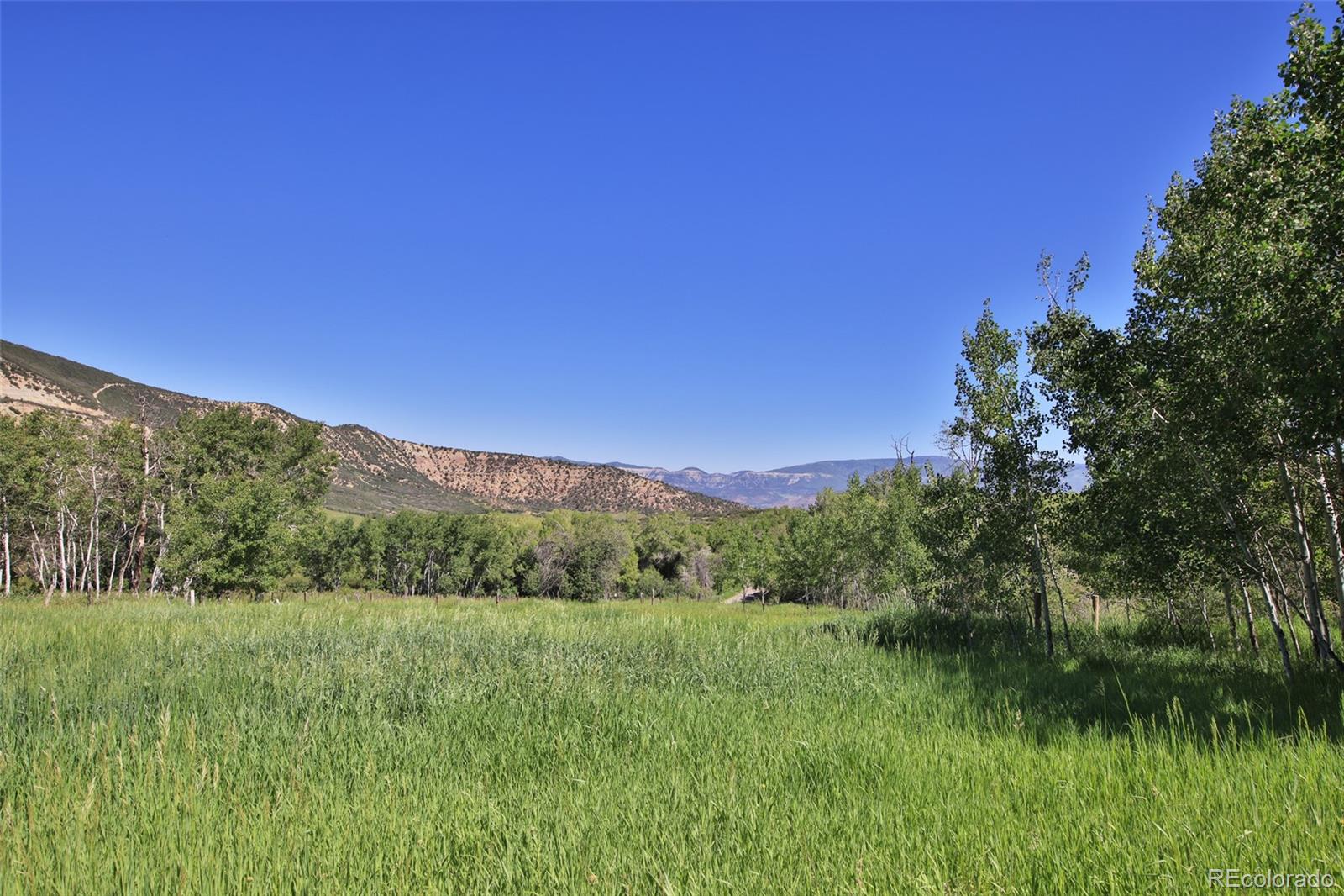 MLS Image #22 for 10396  60 3/4 road,collbran, Colorado