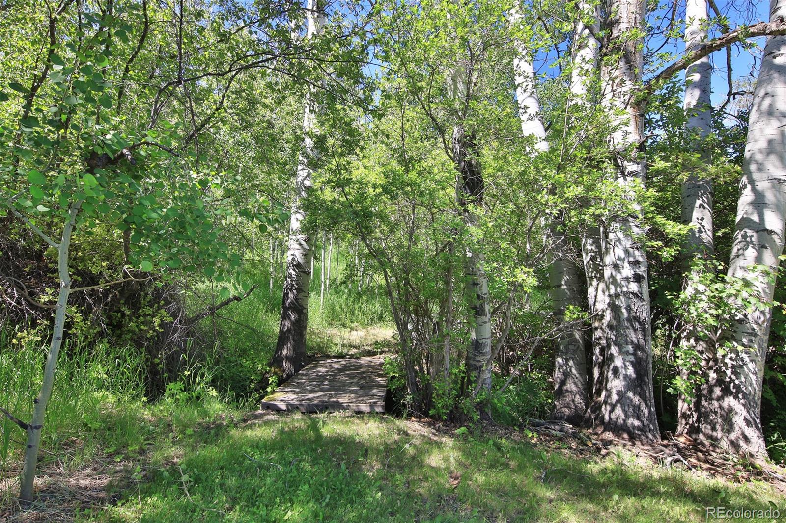 MLS Image #24 for 10396  60 3/4 road,collbran, Colorado