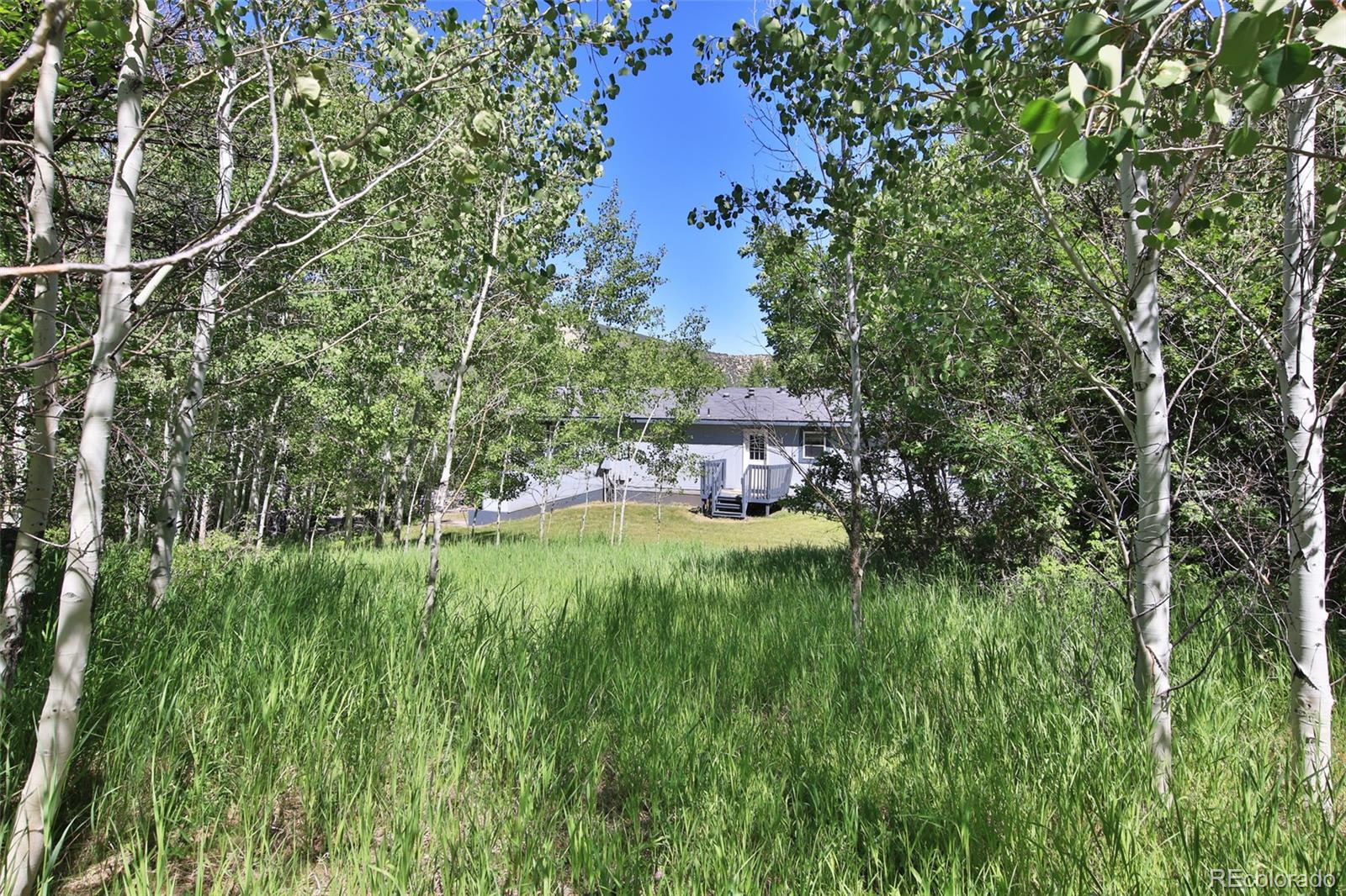 MLS Image #26 for 10396  60 3/4 road,collbran, Colorado