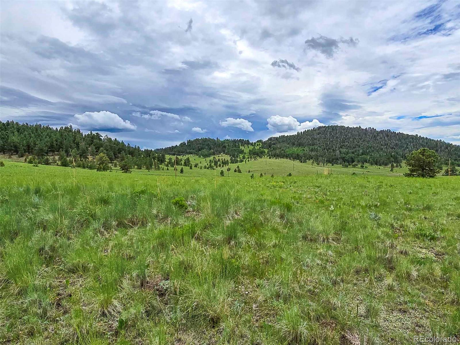 MLS Image #28 for 2529  julia road,guffey, Colorado