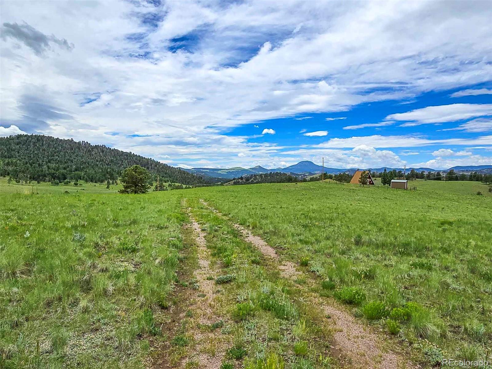 MLS Image #29 for 2529  julia road,guffey, Colorado