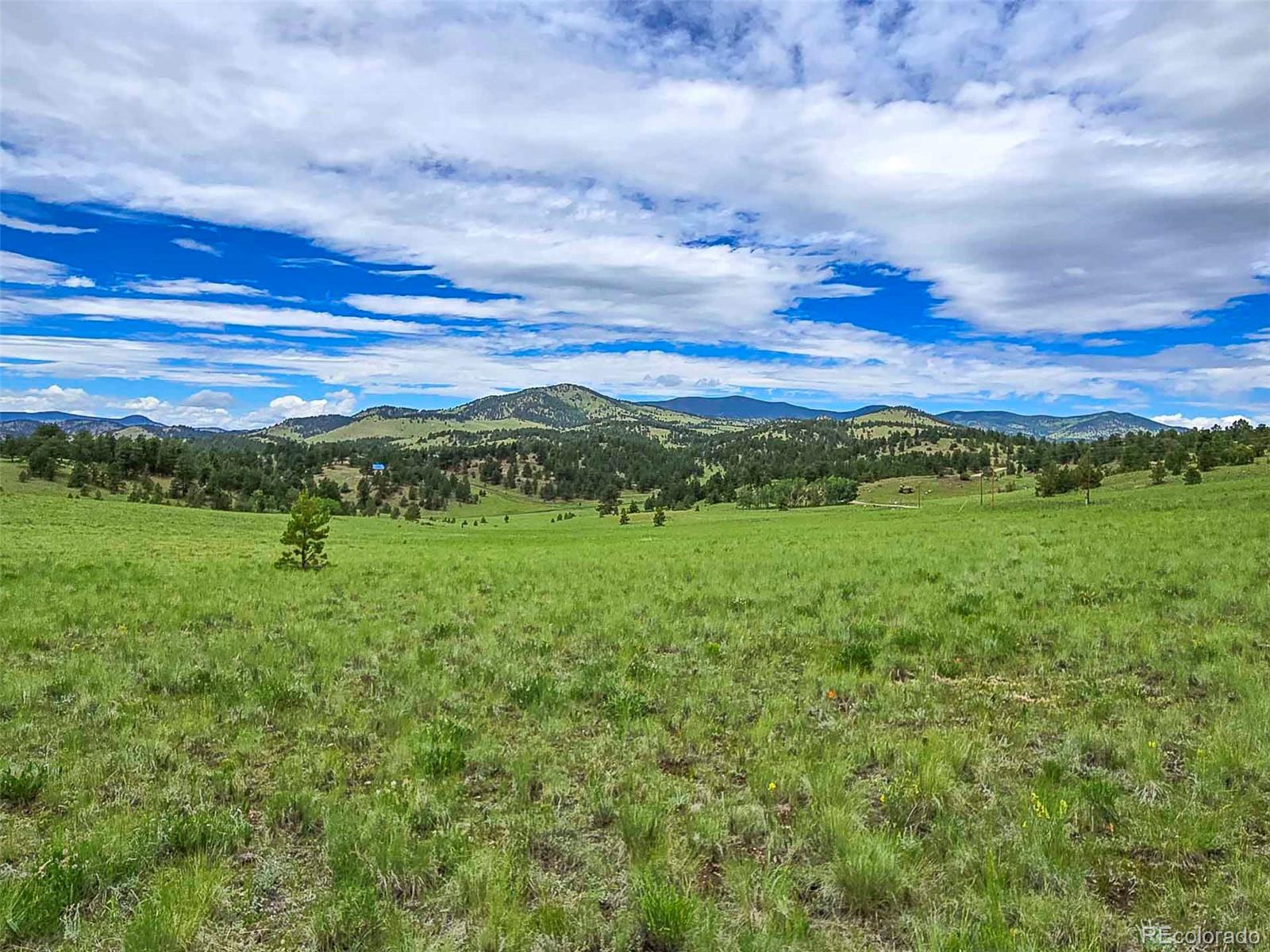 MLS Image #30 for 2529  julia road,guffey, Colorado