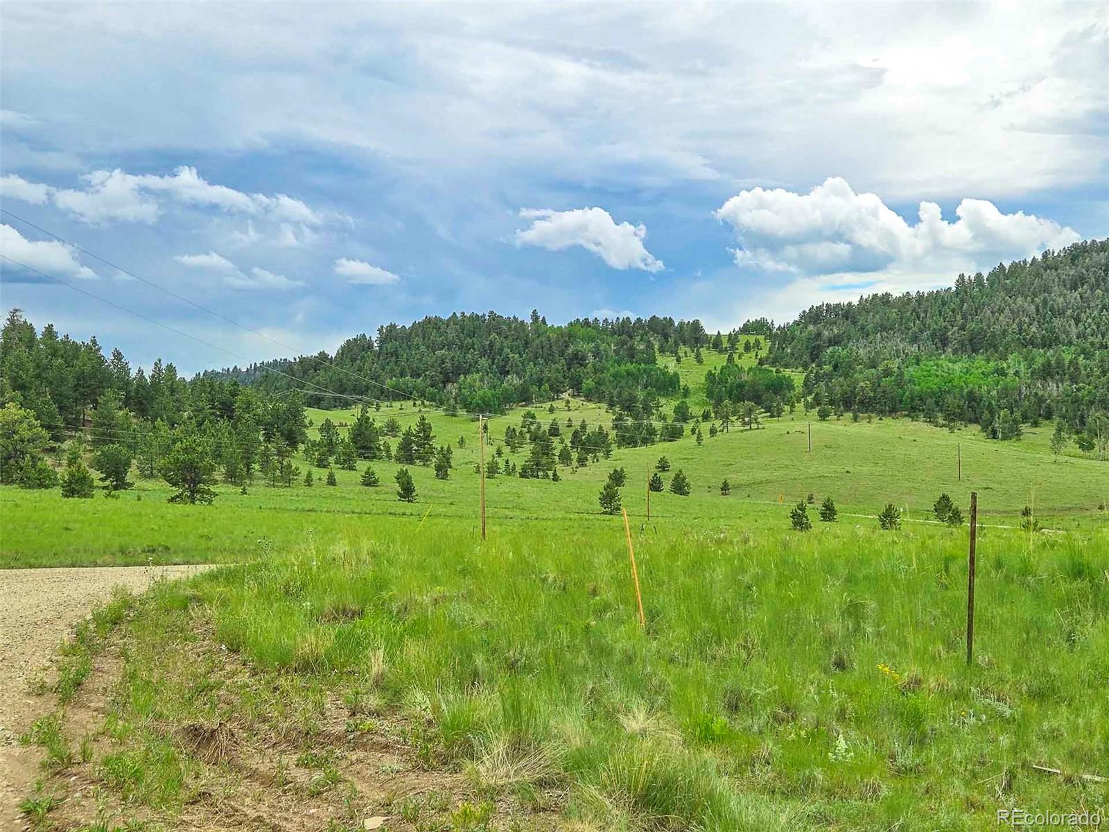 MLS Image #38 for 2529  julia road,guffey, Colorado