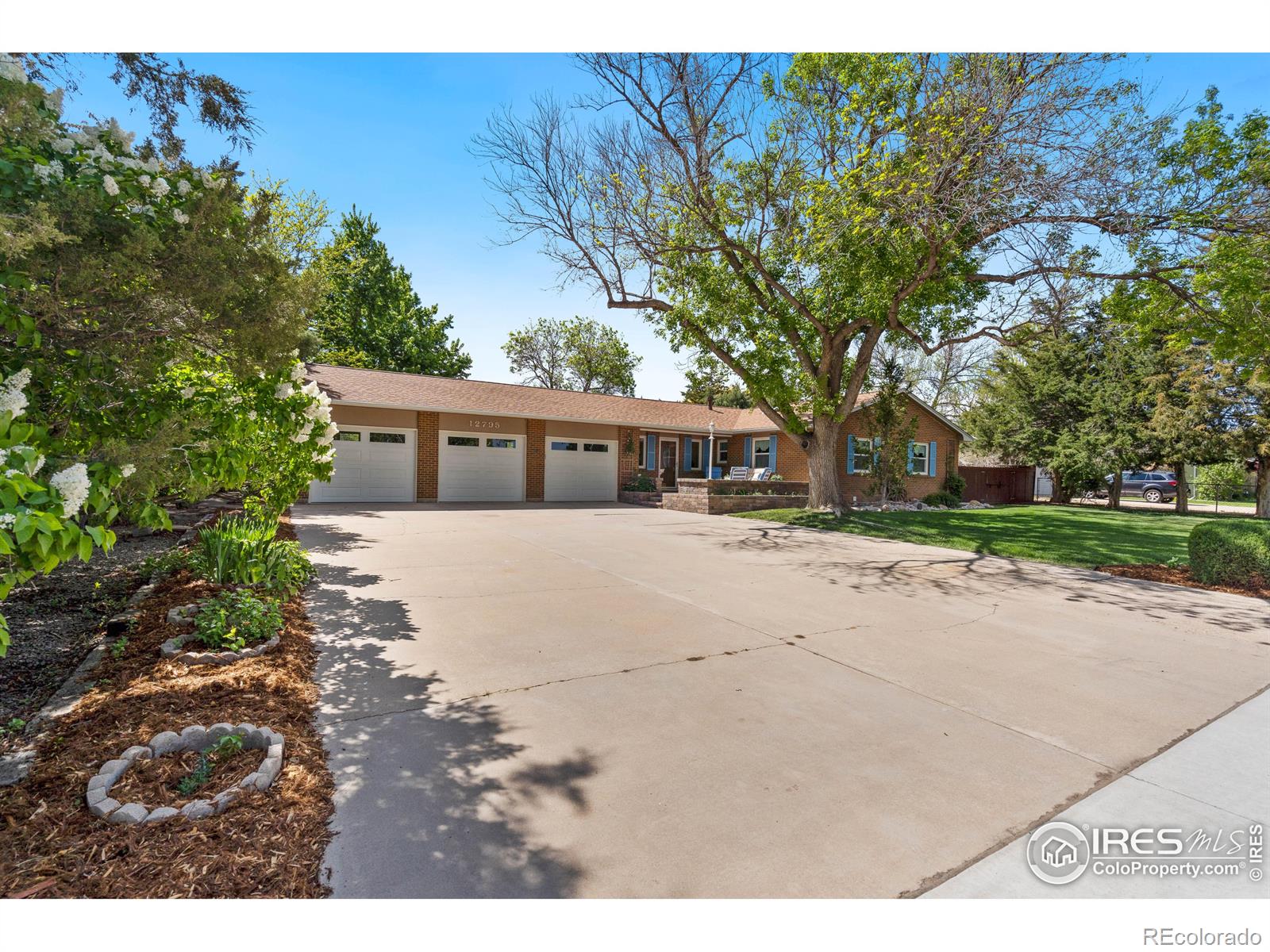 MLS Image #1 for 12795  waterbury road,longmont, Colorado