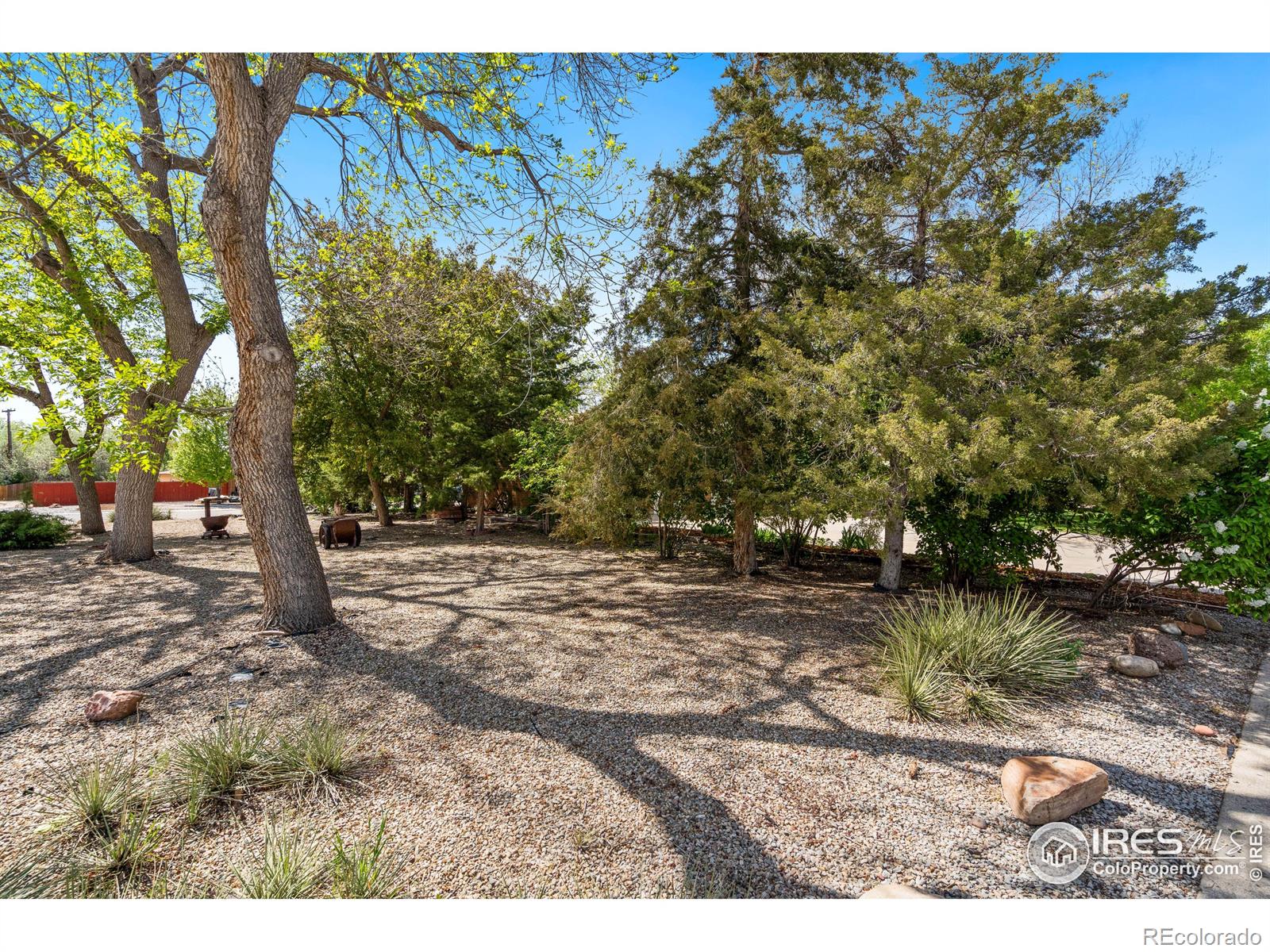 MLS Image #37 for 12795  waterbury road,longmont, Colorado