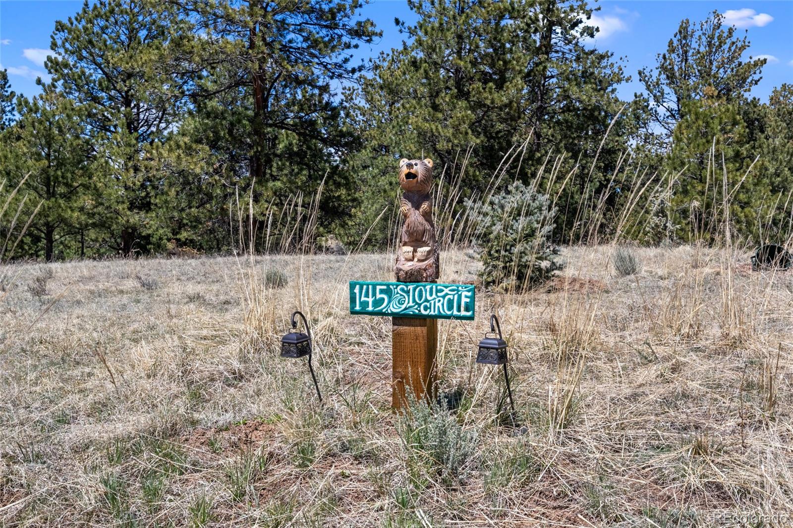 MLS Image #29 for 145  sioux circle,florissant, Colorado