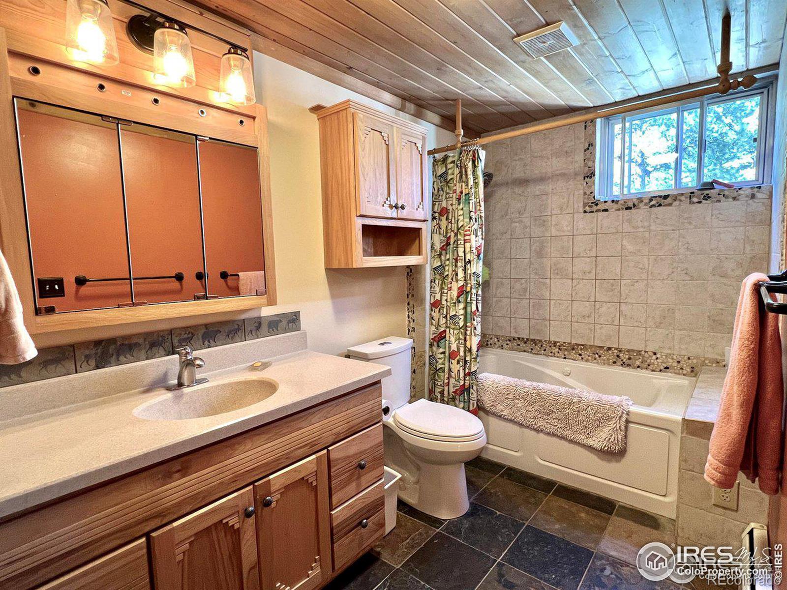 MLS Image #14 for 545  pinewood drive,lyons, Colorado