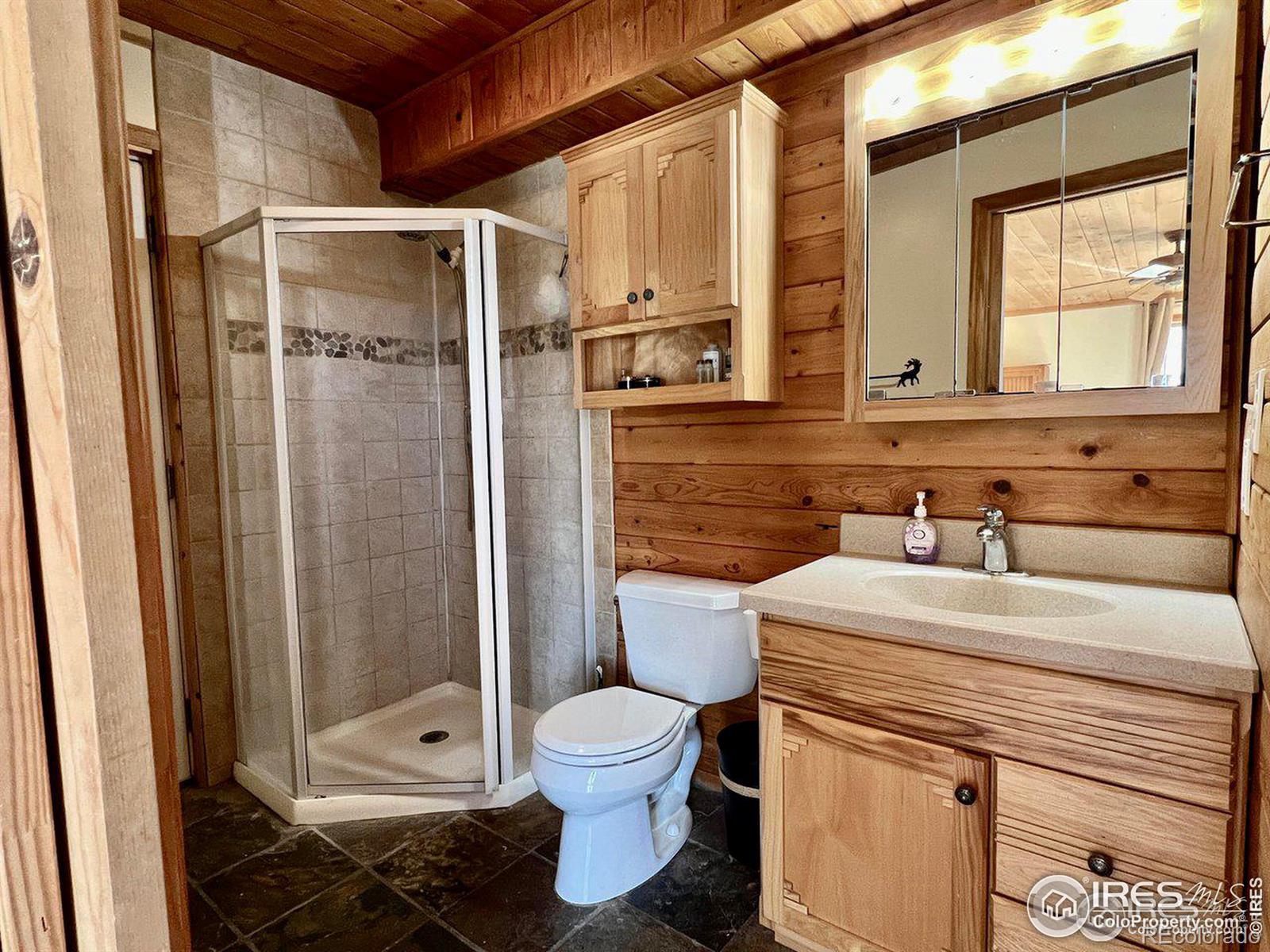 MLS Image #20 for 545  pinewood drive,lyons, Colorado