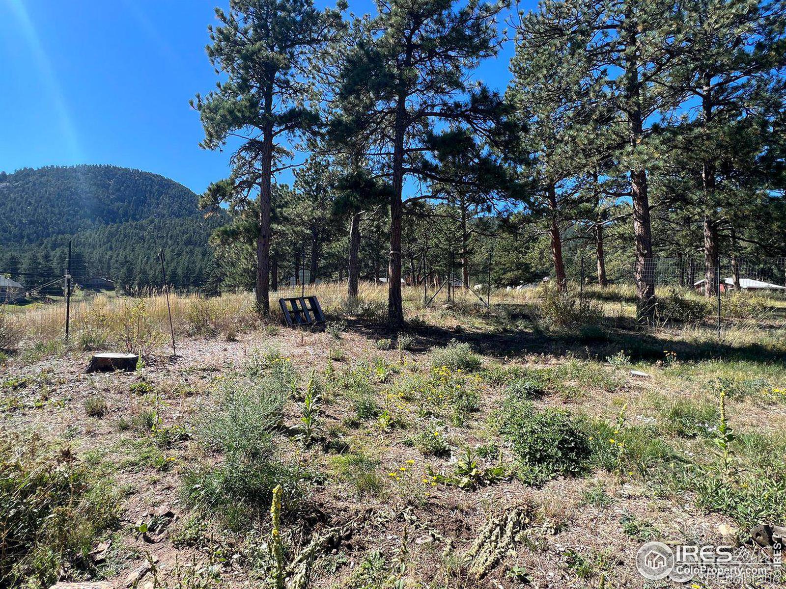 MLS Image #28 for 545  pinewood drive,lyons, Colorado