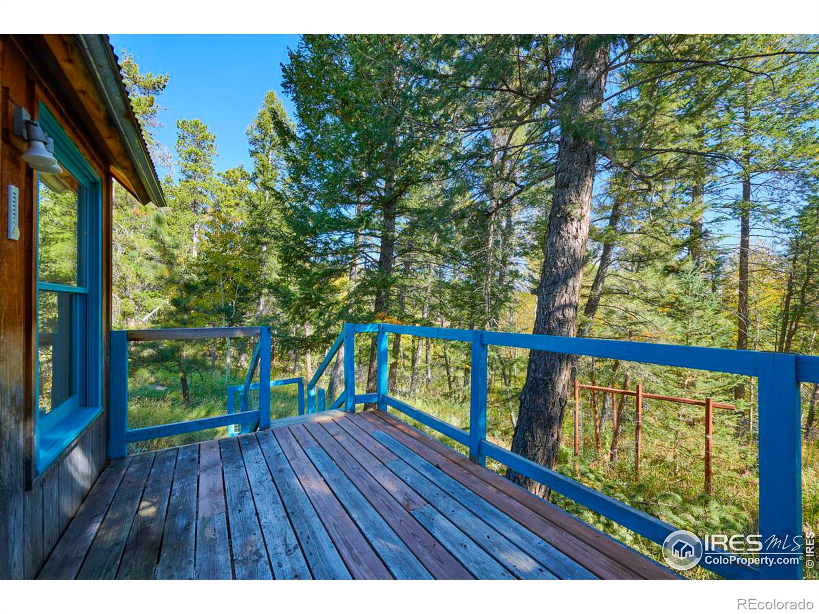 MLS Image #20 for 283  ponderosa way,nederland, Colorado