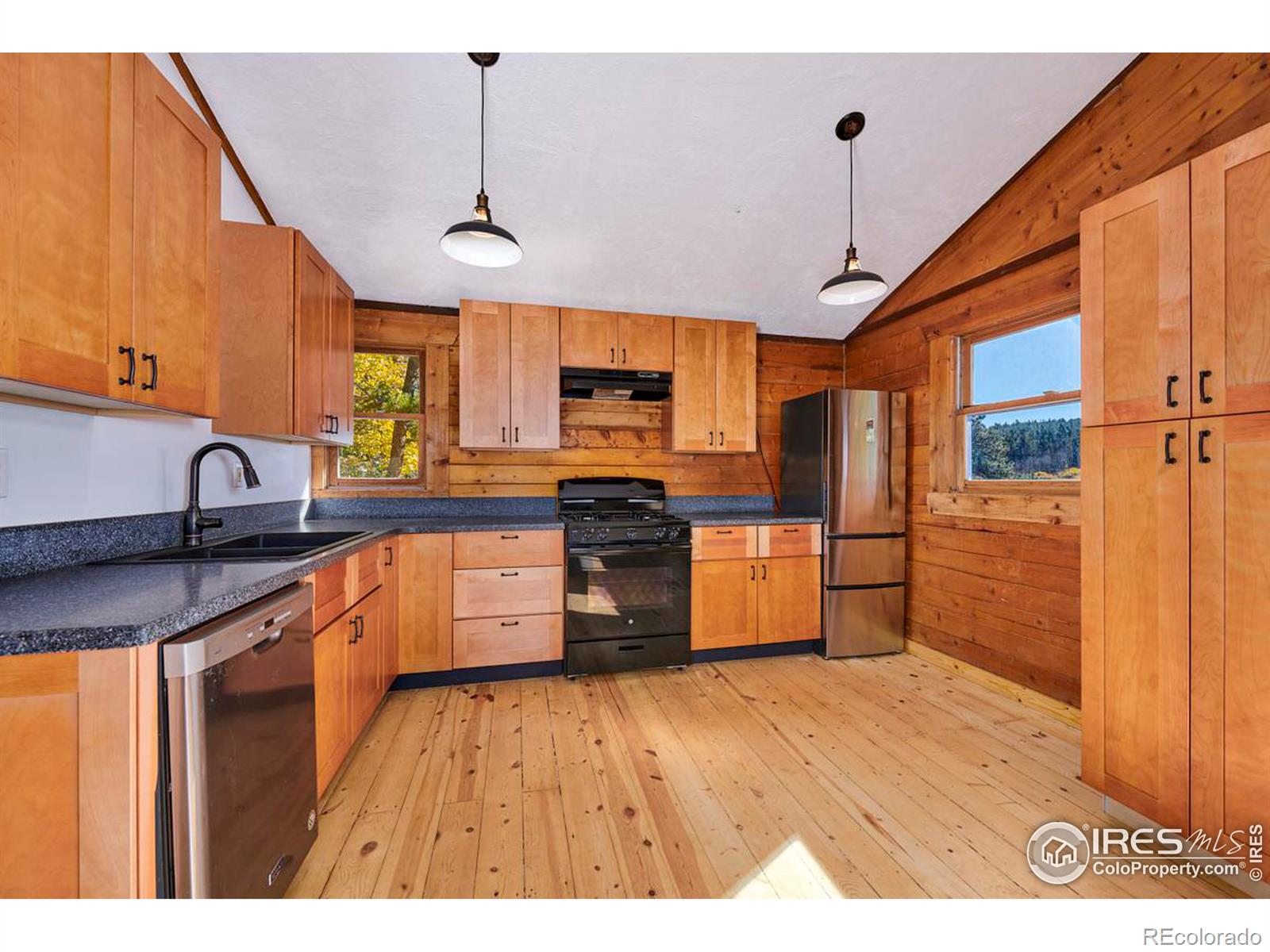 MLS Image #6 for 283  ponderosa way,nederland, Colorado