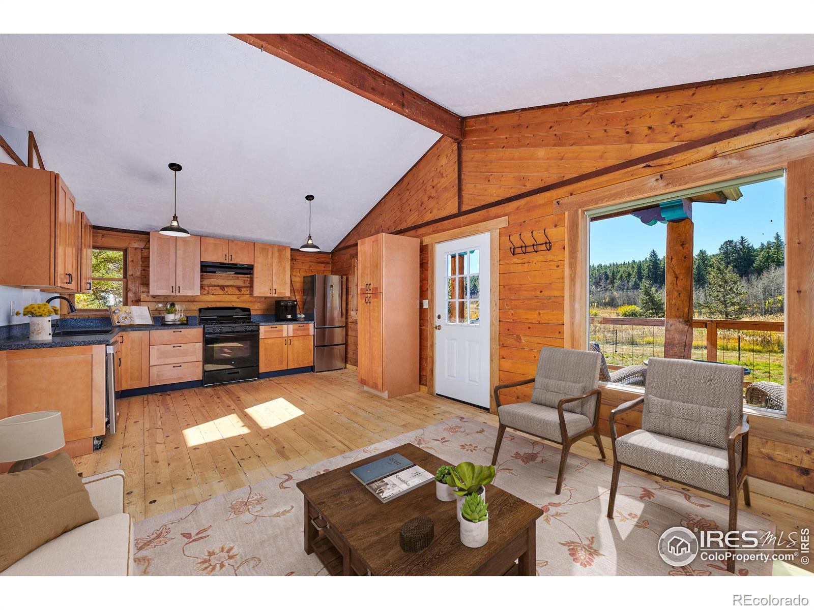 MLS Image #8 for 283  ponderosa way,nederland, Colorado