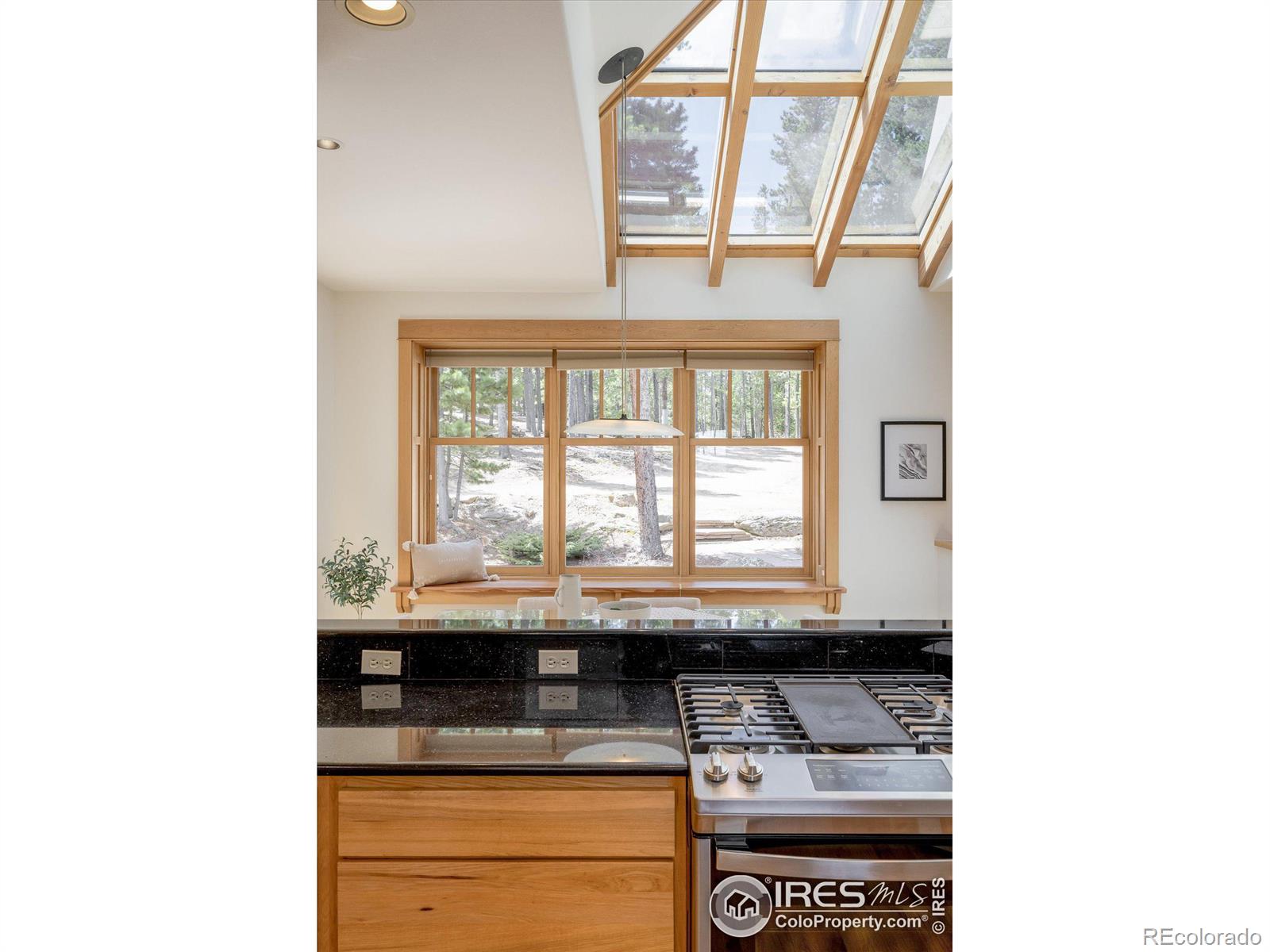 MLS Image #12 for 57  aspen way,nederland, Colorado