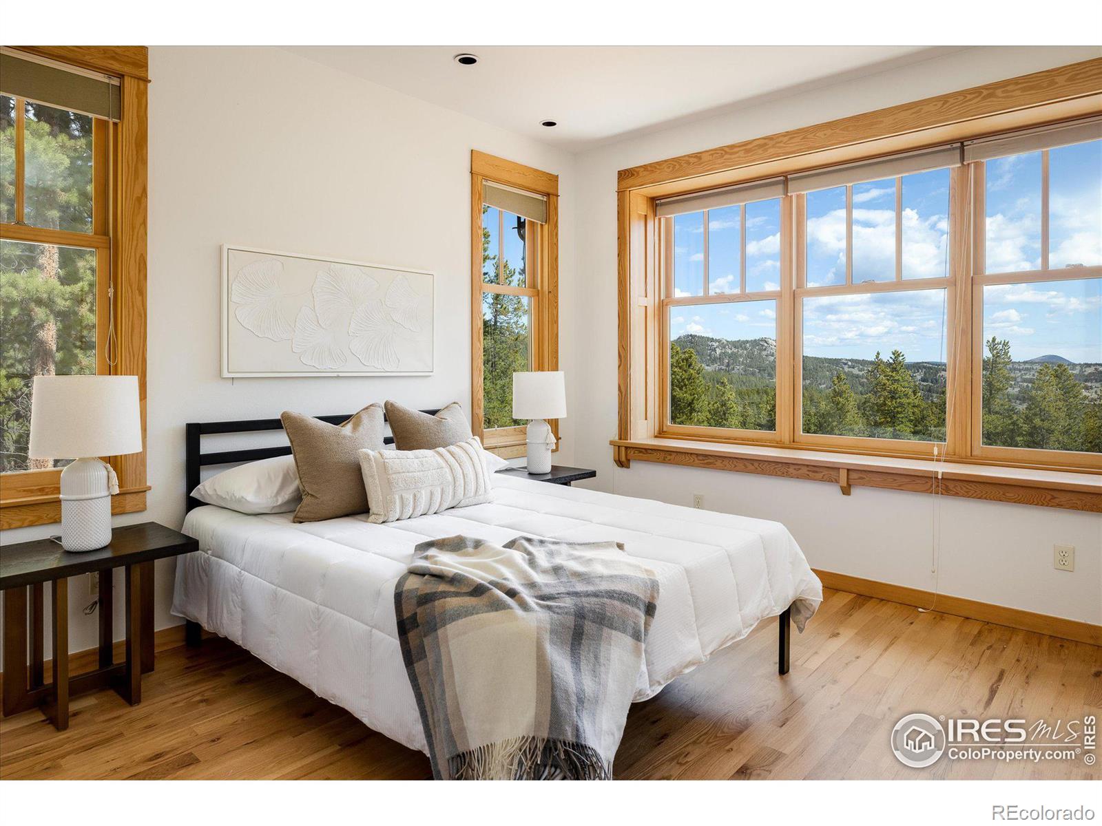 MLS Image #14 for 57  aspen way,nederland, Colorado