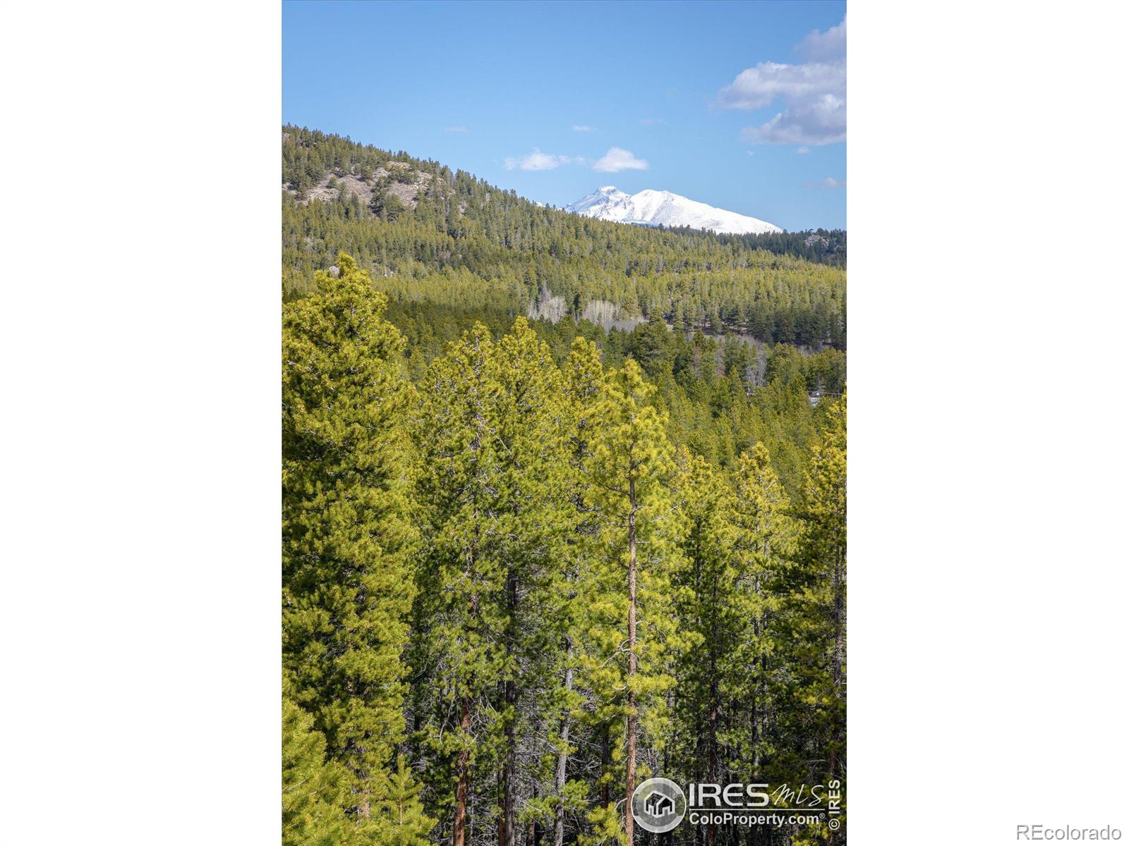 MLS Image #29 for 57  aspen way,nederland, Colorado