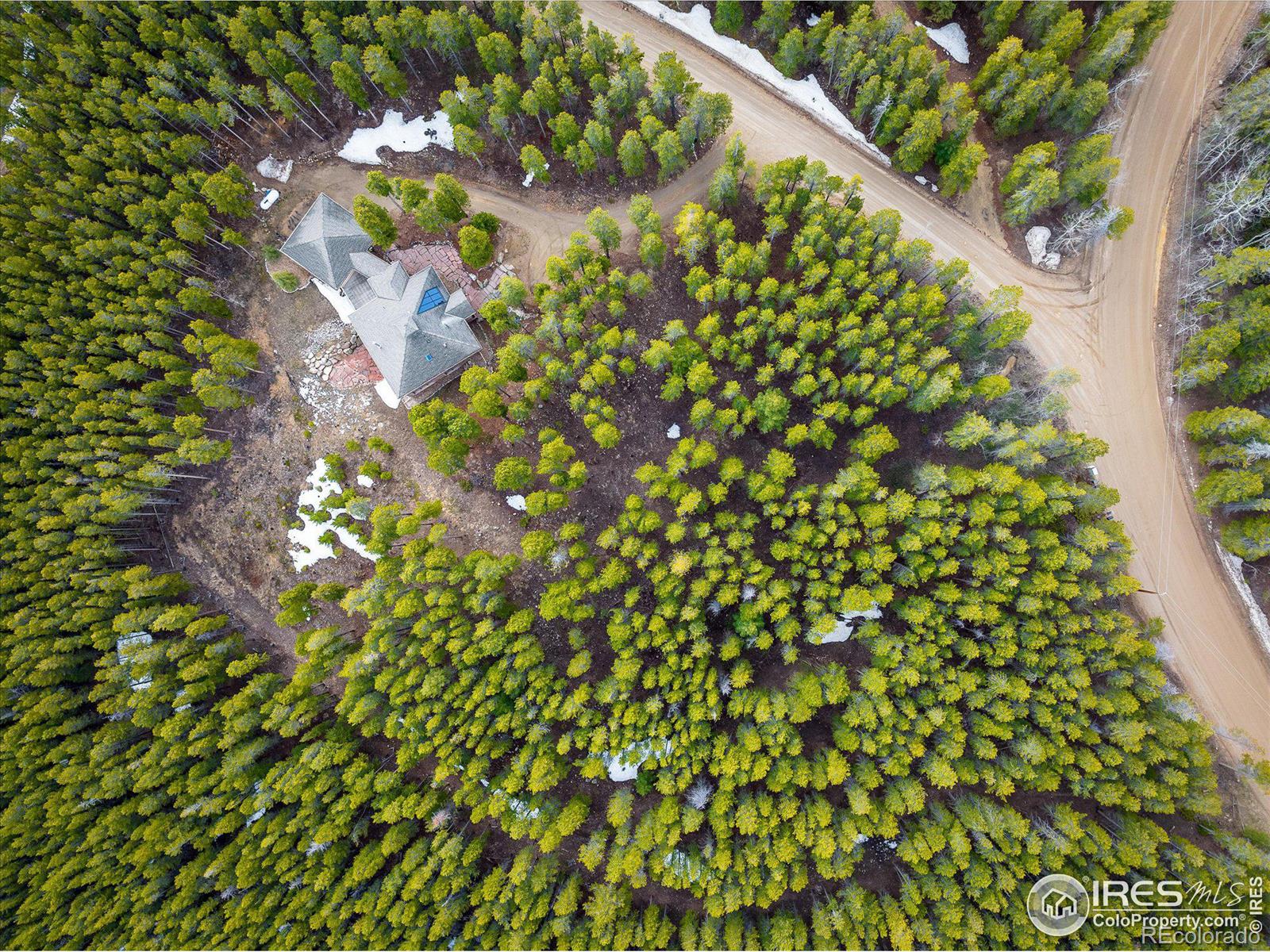 MLS Image #39 for 57  aspen way,nederland, Colorado