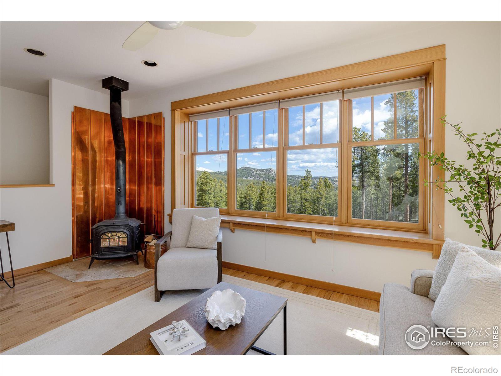 MLS Image #5 for 57  aspen way,nederland, Colorado