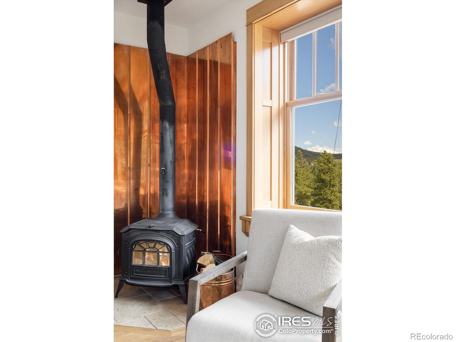 MLS Image #6 for 57  aspen way,nederland, Colorado